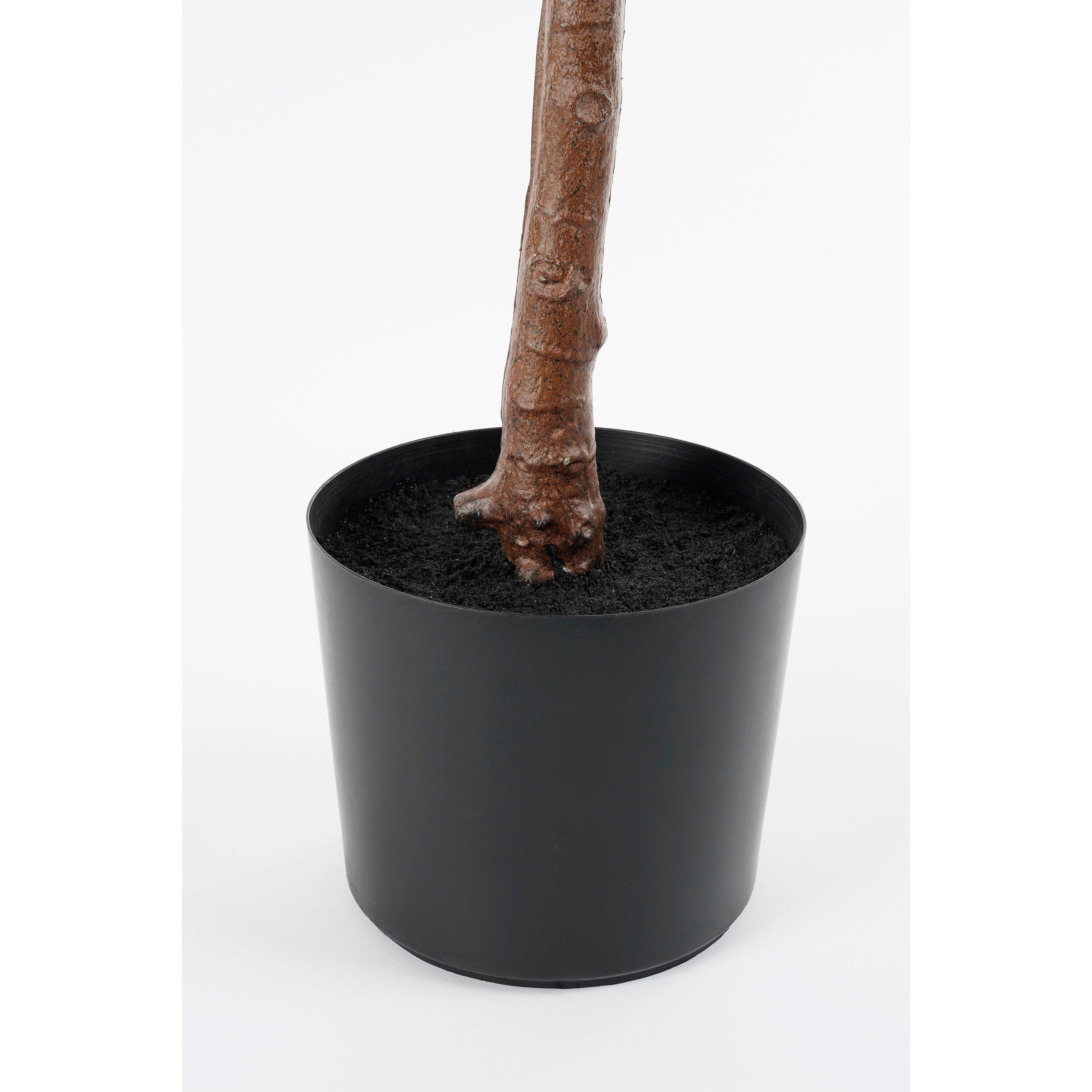 Green - Mica - Ficus Lyrata in pot green waterproof & UV resistant - 4