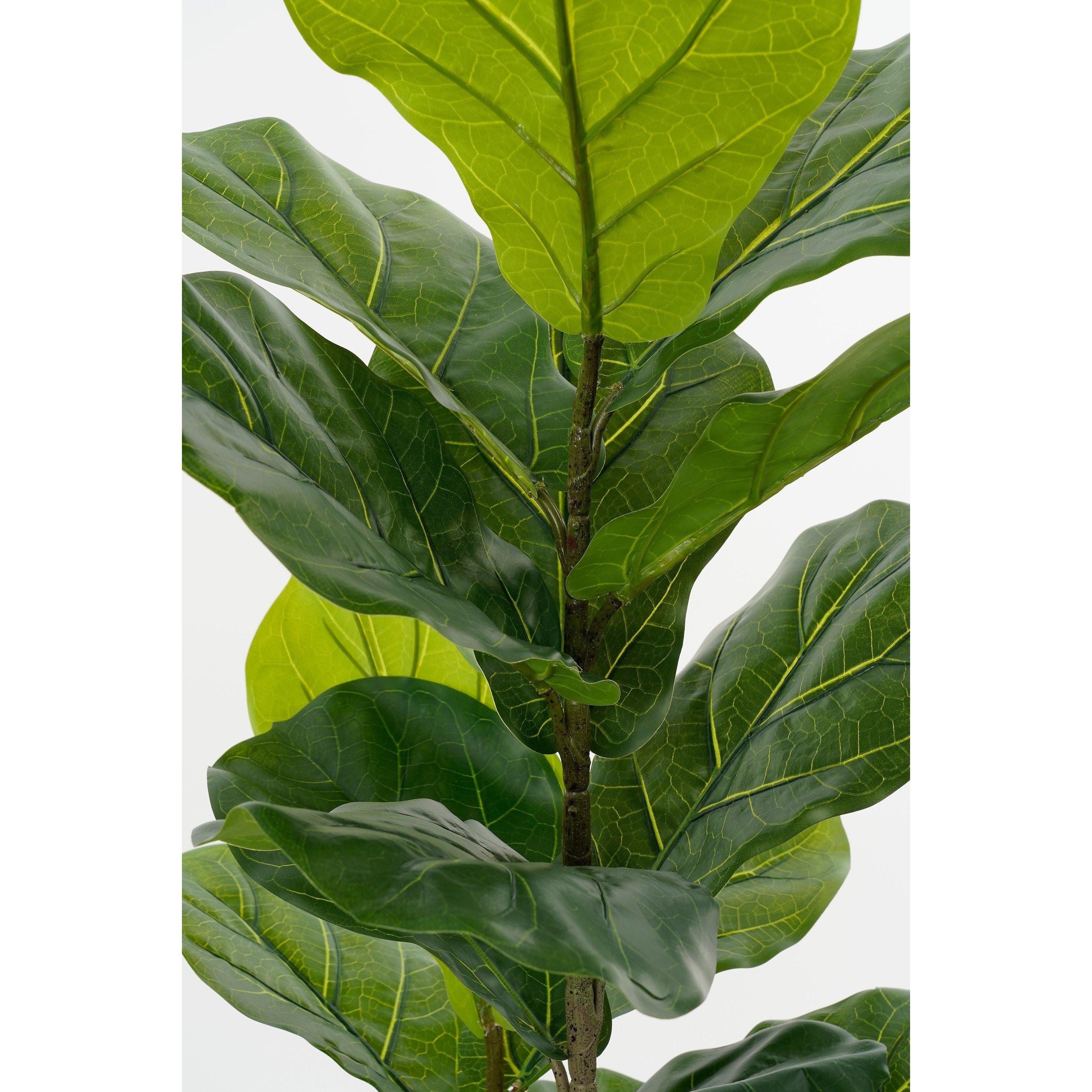Green - Mica - Ficus Lyrata in pot green waterproof & UV resistant - 5