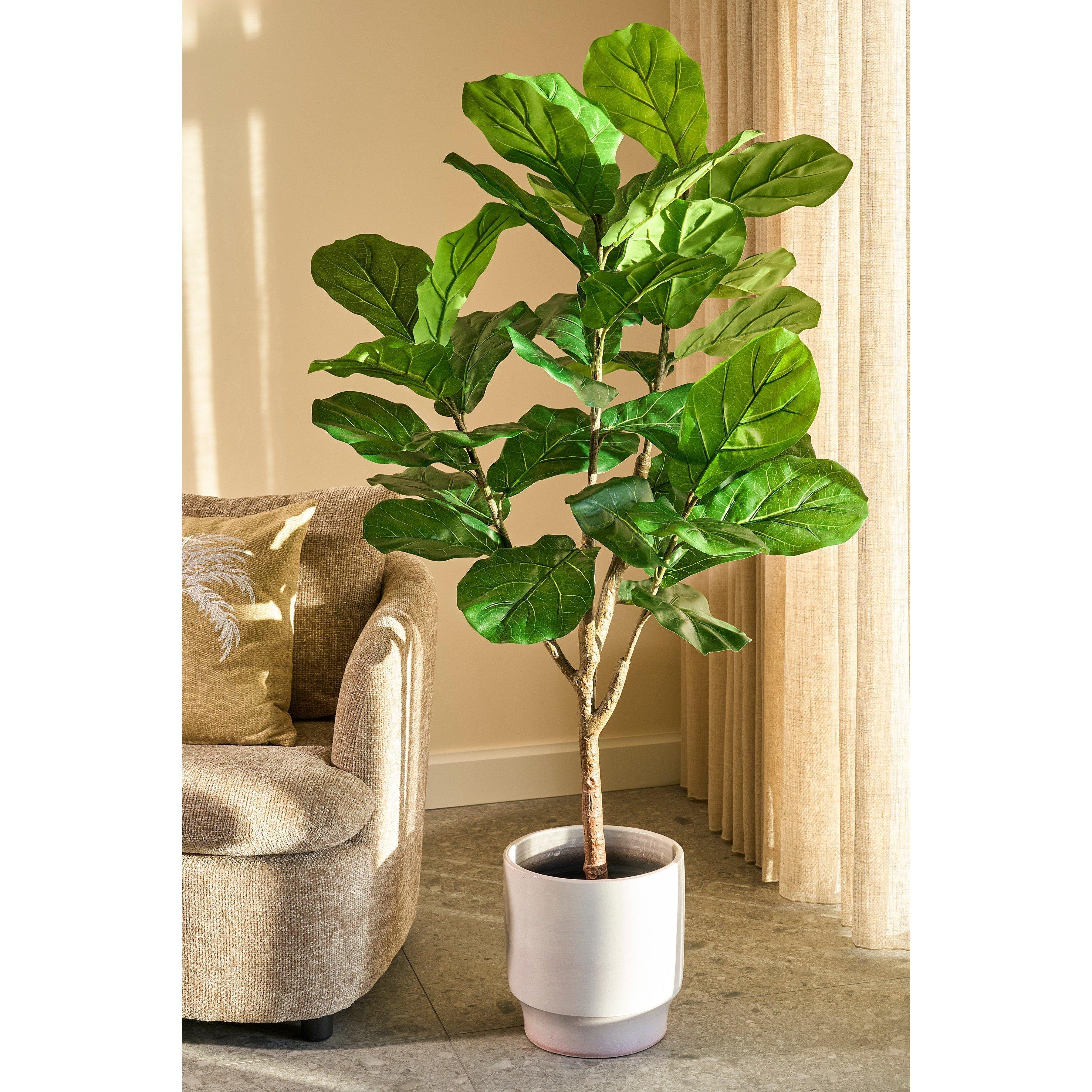 Green - Mica - Ficus Lyrata in pot green waterproof & UV resistant - 6