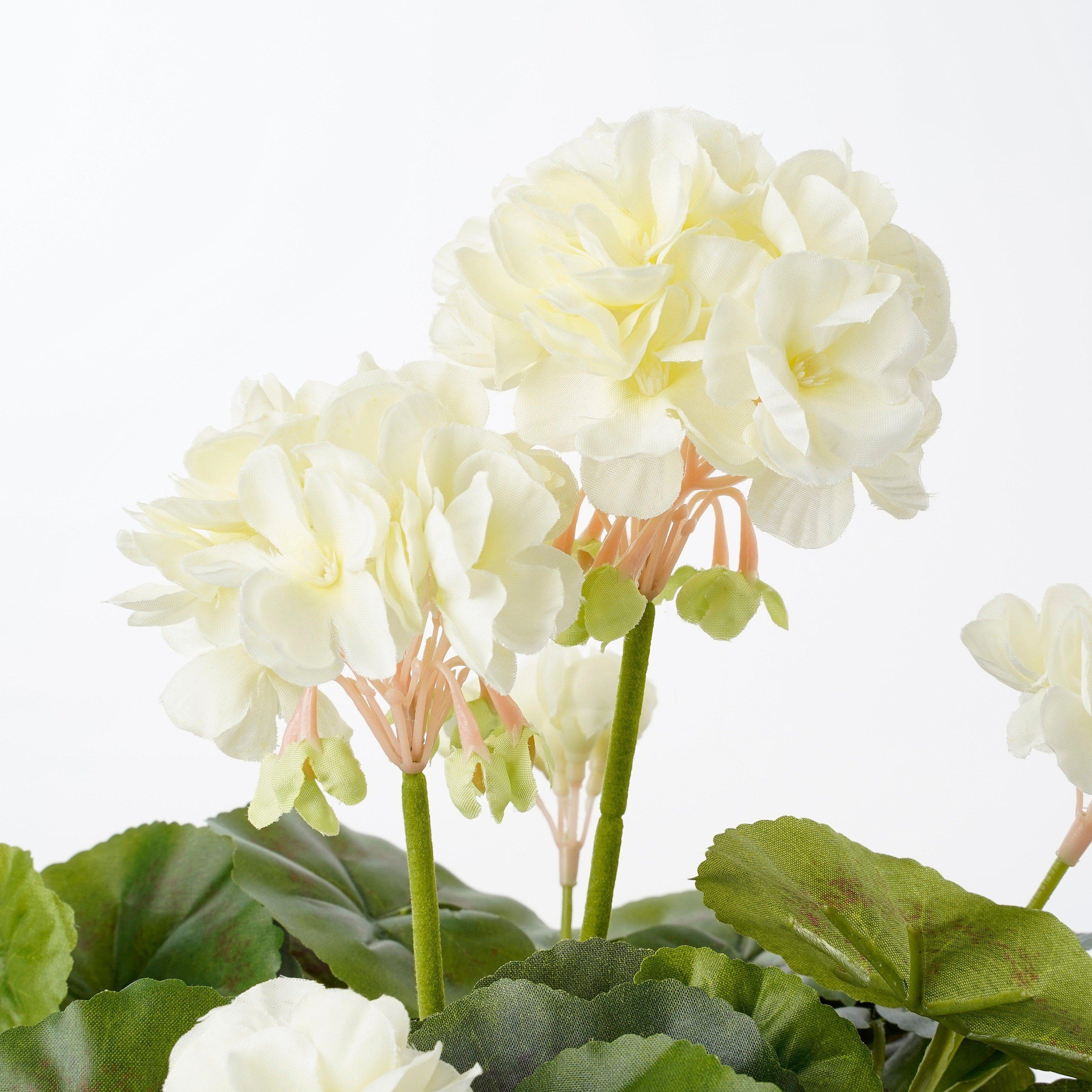 Cream - Mica - Geranium in pot Stan grey - 2