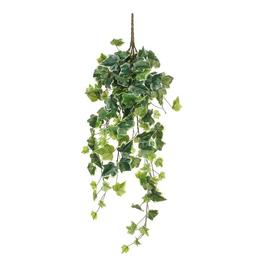Mica Ivy hanging green variegated