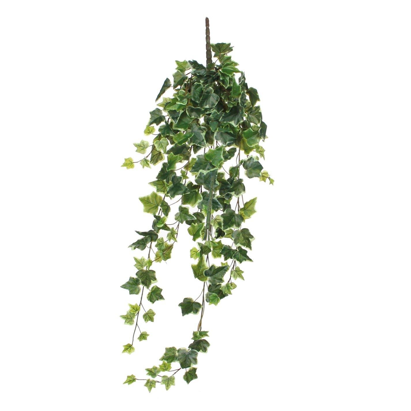 Verde - Mica - Ivy hanging green variegated - 1
