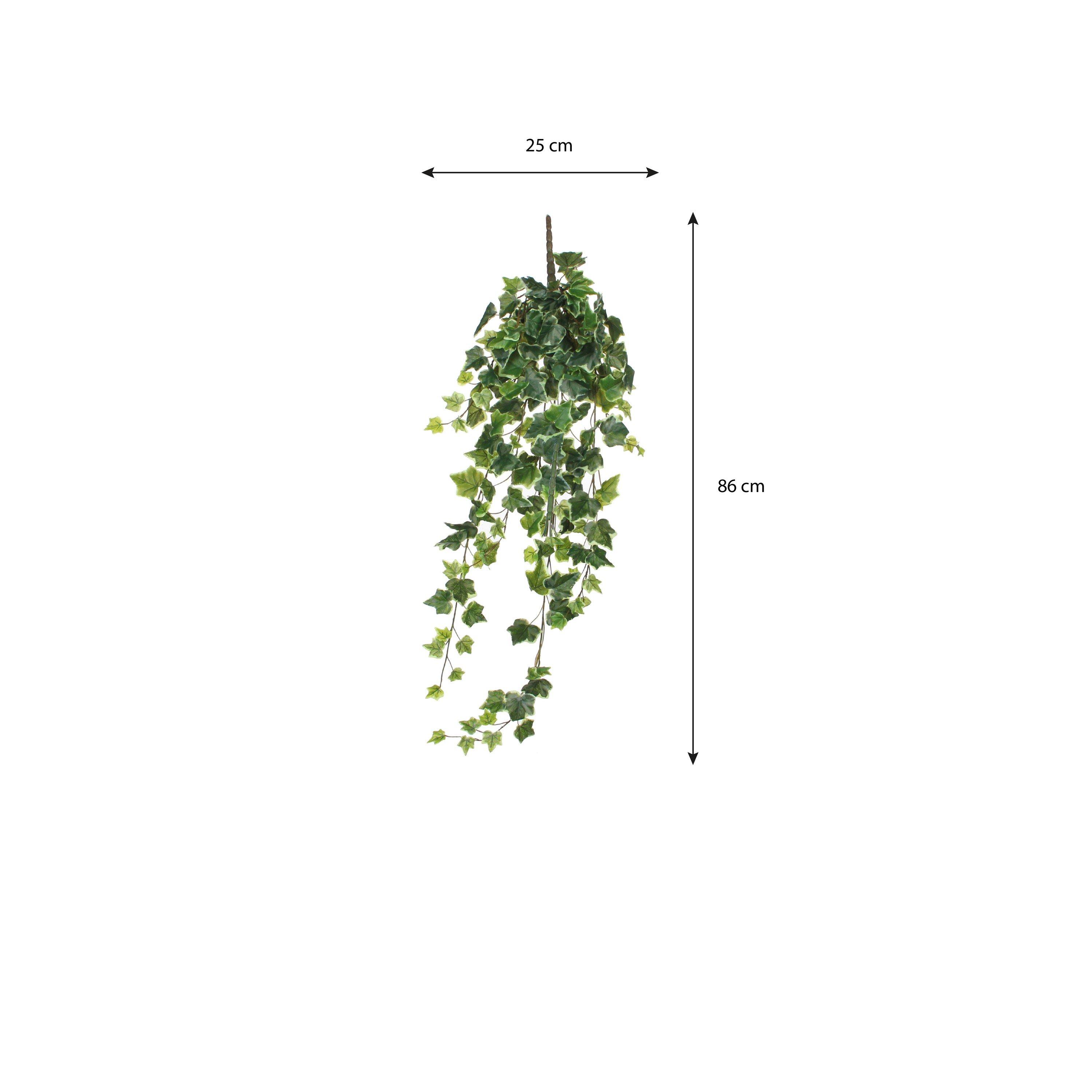 Verde - Mica - Ivy hanging green variegated - 5