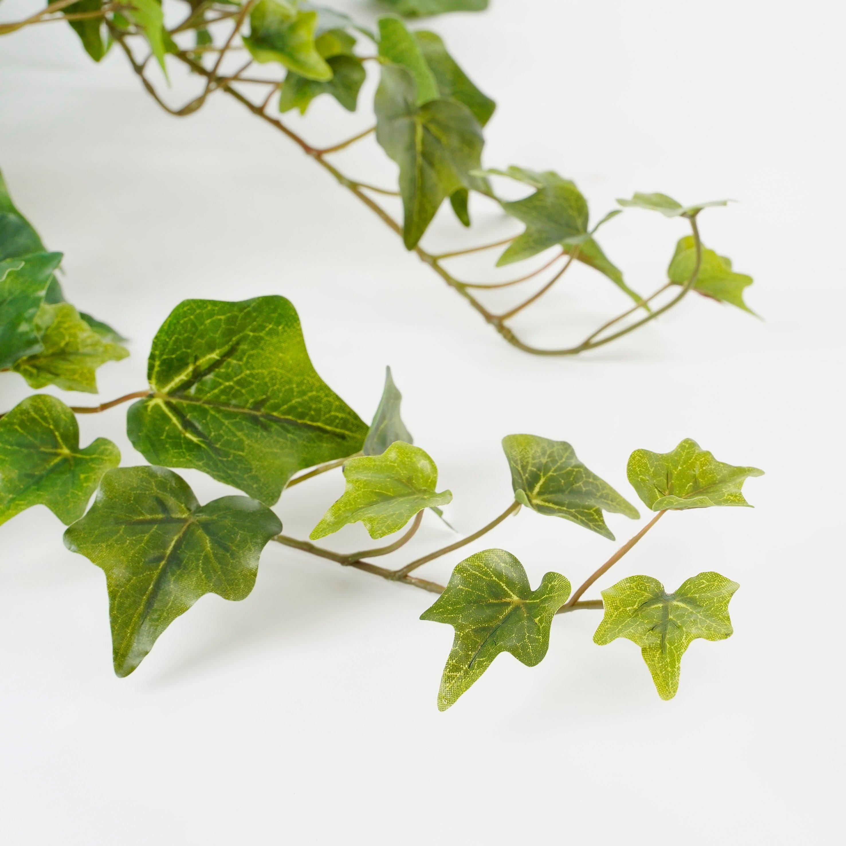 Green - Mica - Ivy Hanging - 3