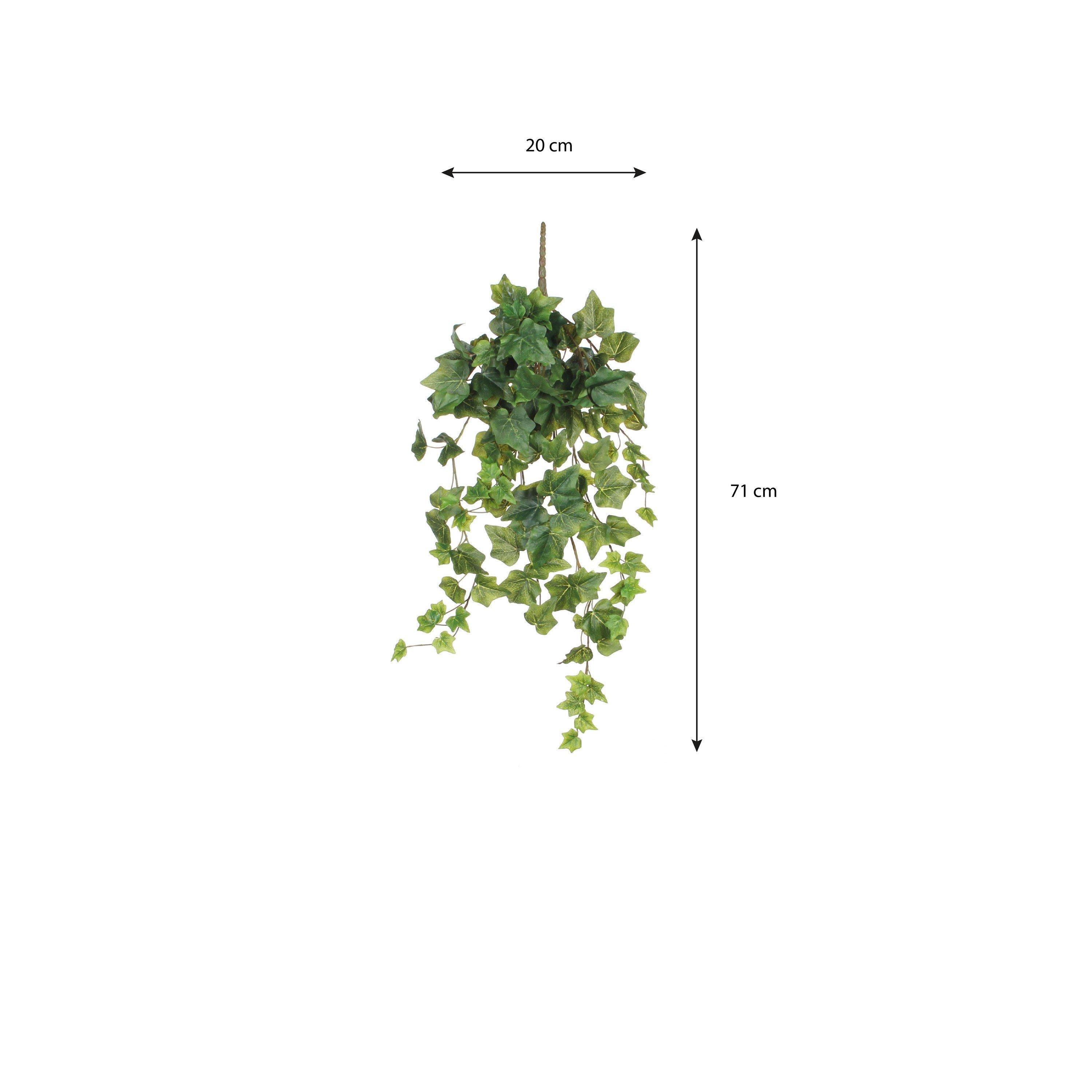 Green - Mica - Ivy Hanging - 5
