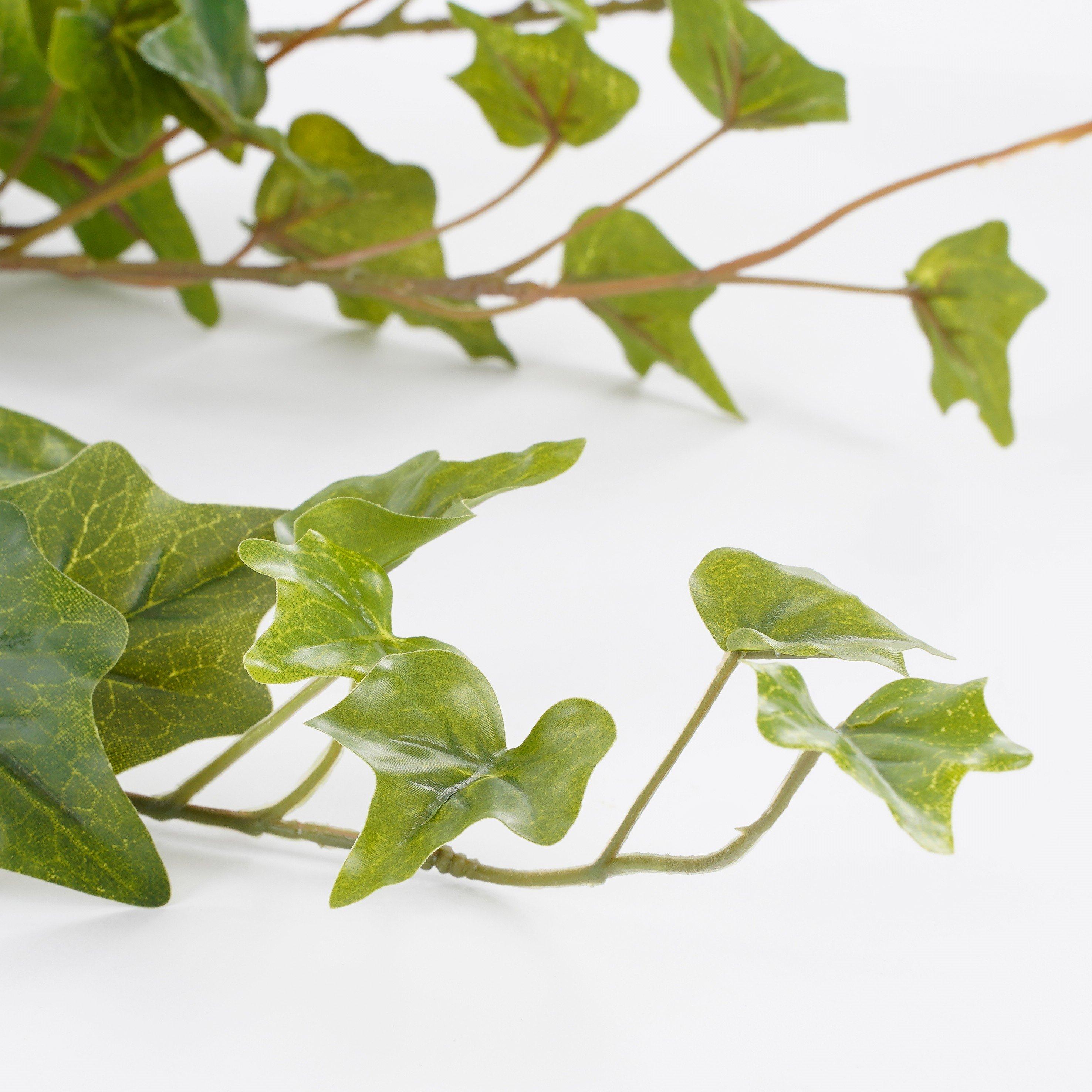 Green - Mica - Ivy Hanging - 2