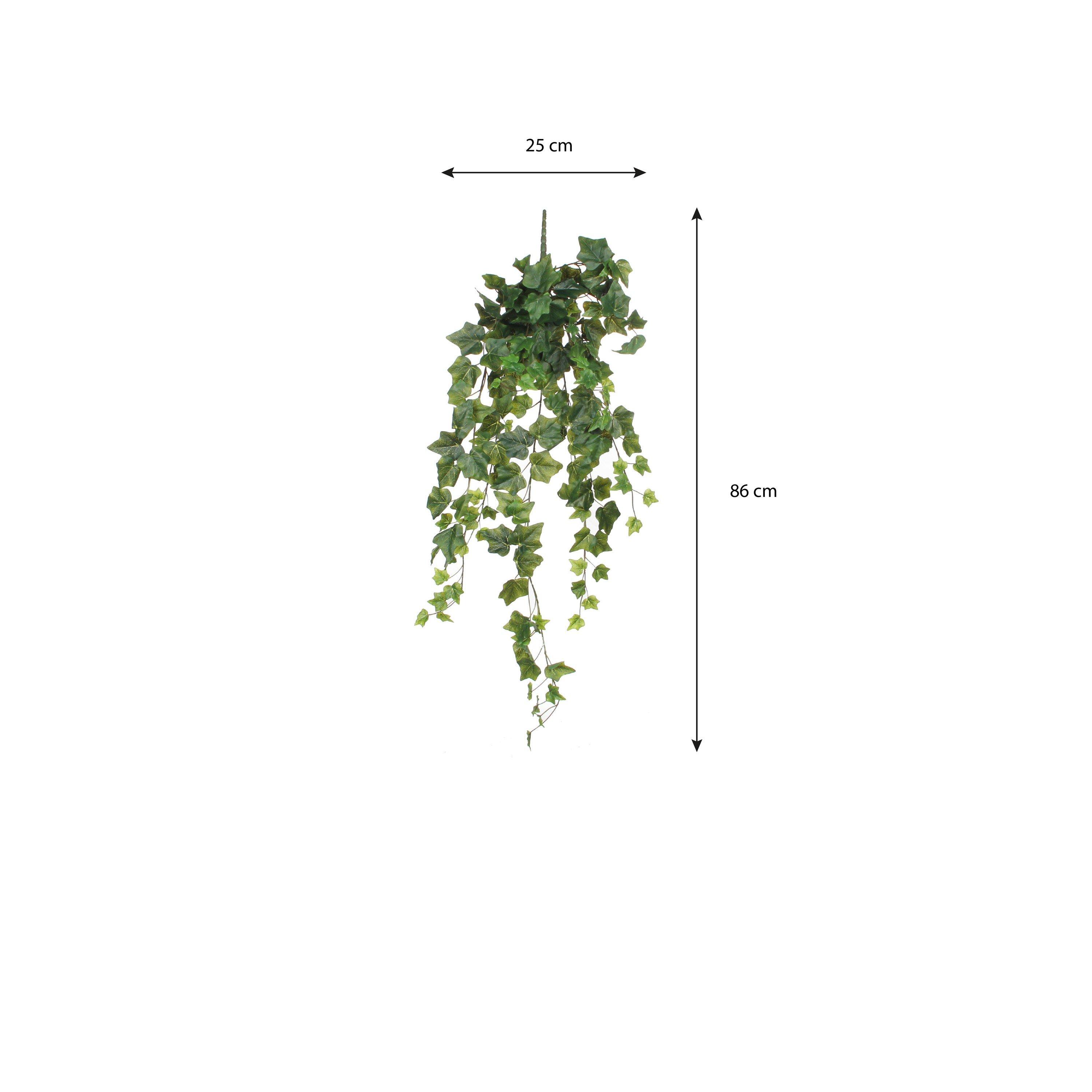 Green - Mica - Ivy Hanging - 5