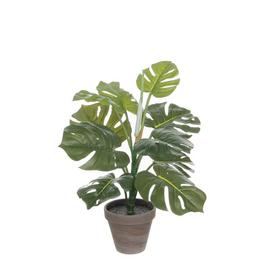 Mica Monstera green in pot Stan grey