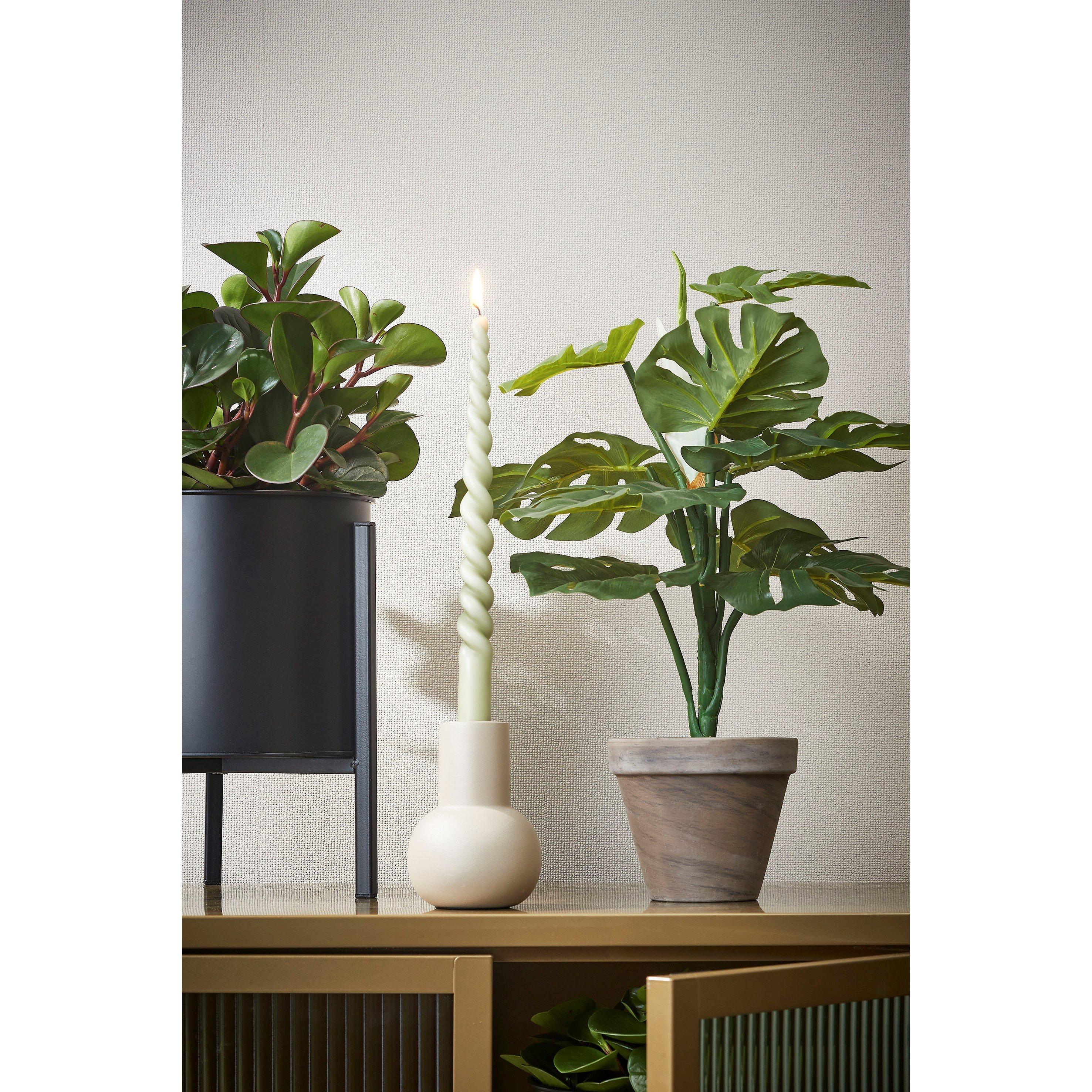 Green - Mica - Monstera green in pot Stan grey - 5