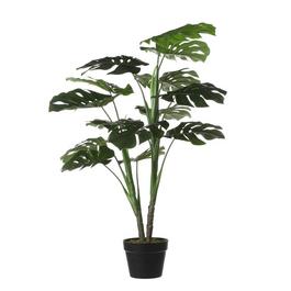 Mica Monstera in pot green