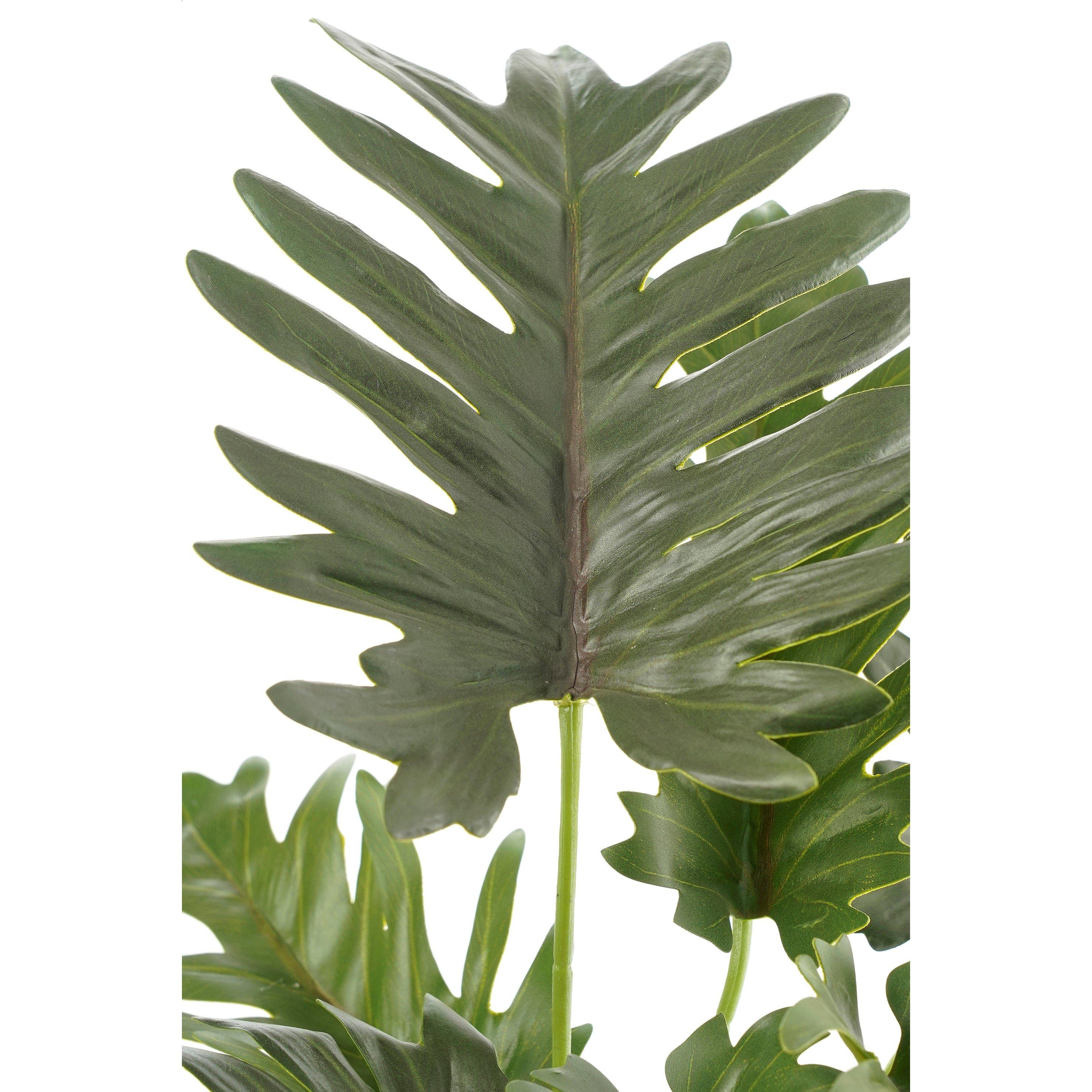 Green - Mica - Philodendron green in pot Stan grey - 3