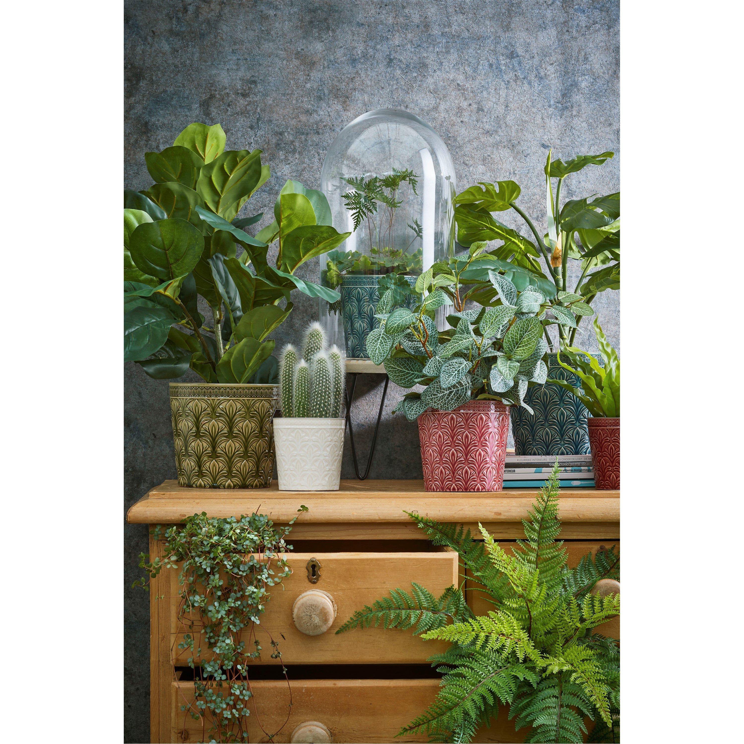 Green - Mica - Pilea green in pot Stan grey - 2