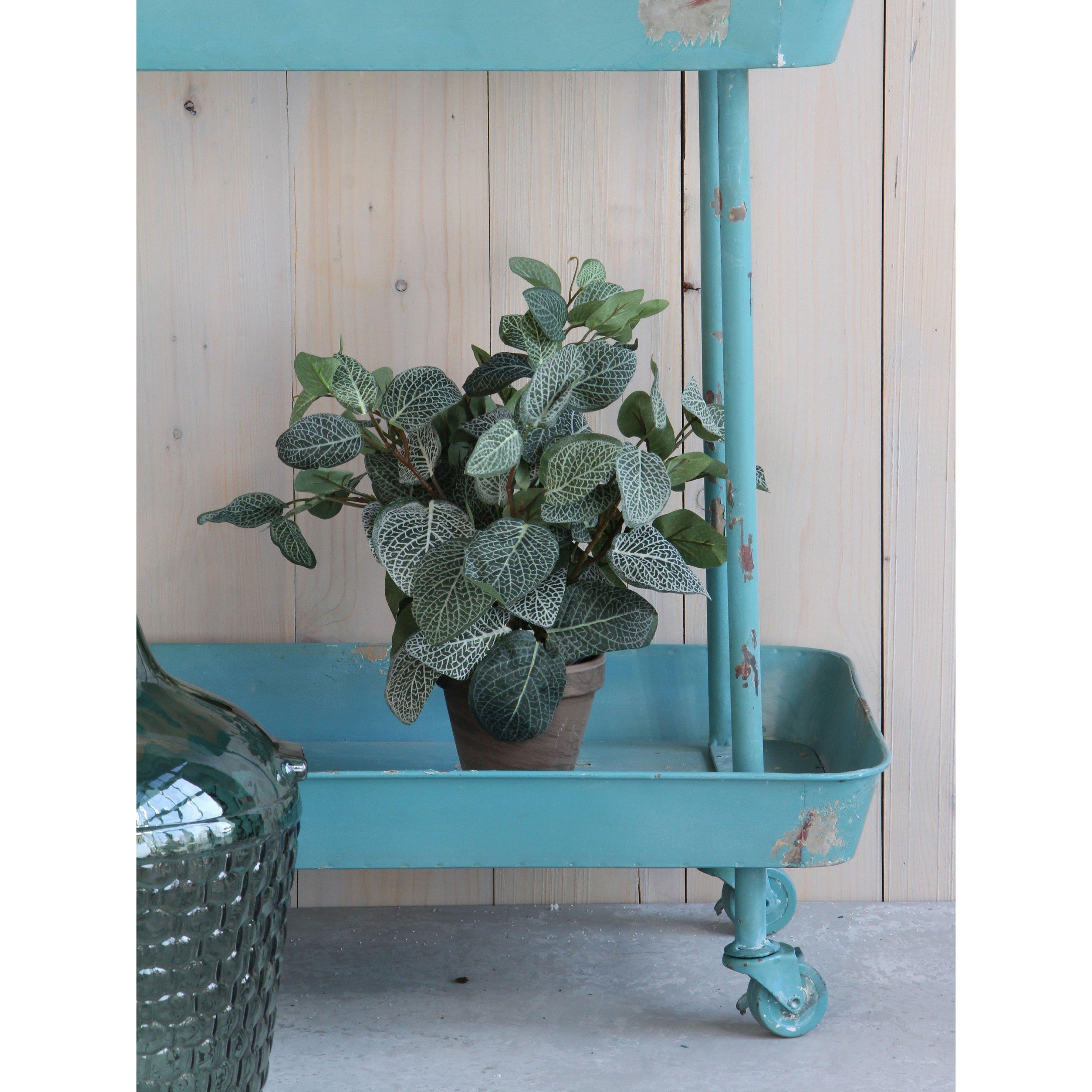 Green - Mica - Pilea green in pot Stan grey - 3