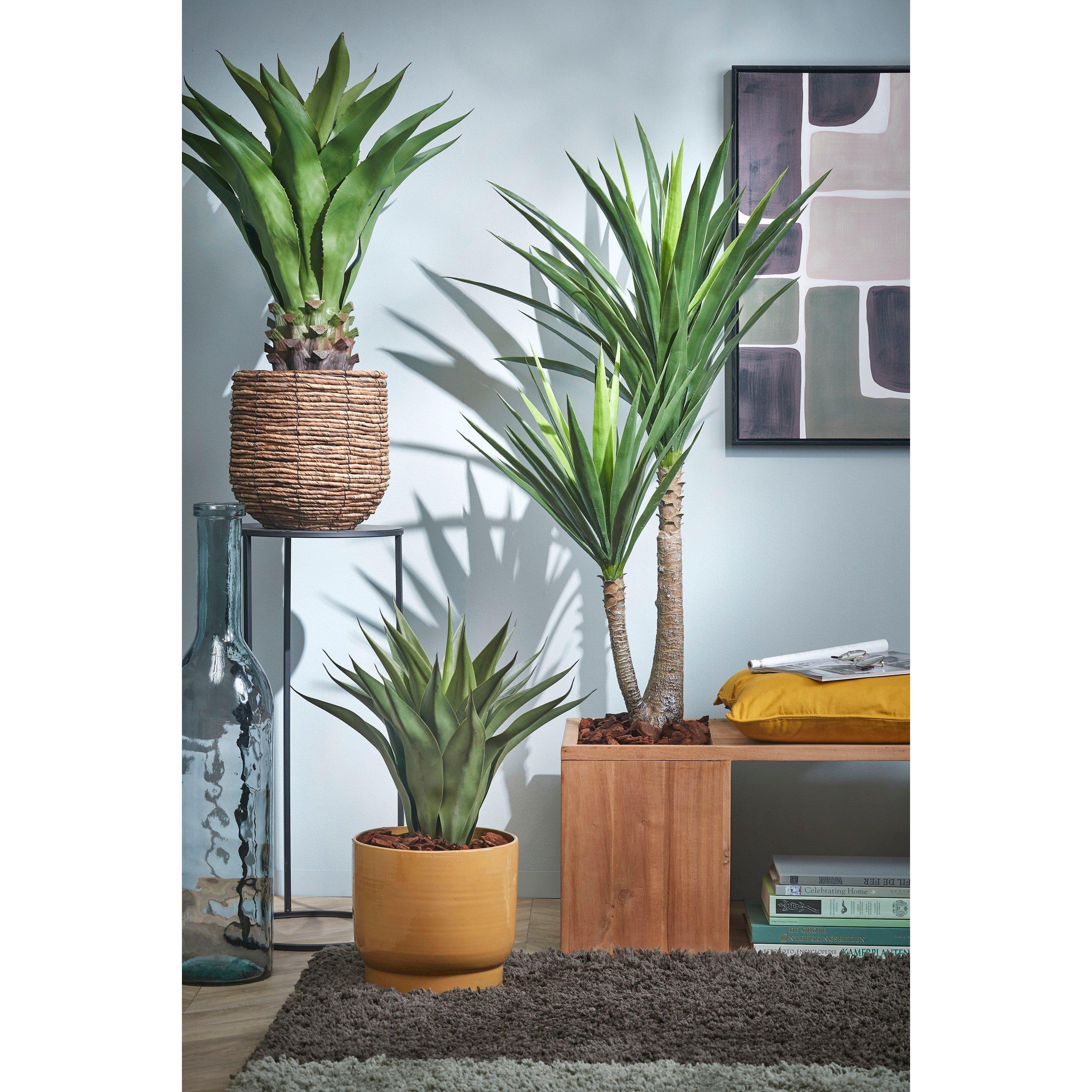 Green - Mica - Yucca in pot green - 8