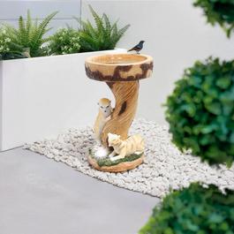 Streetwize Birdbath 99