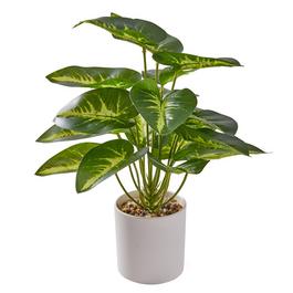 Grace Home Leaf Plant Plant 44
