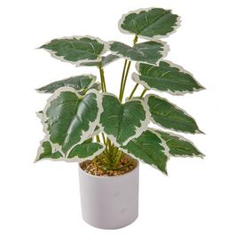 Grace Home GH Leaf Plant Plant 44