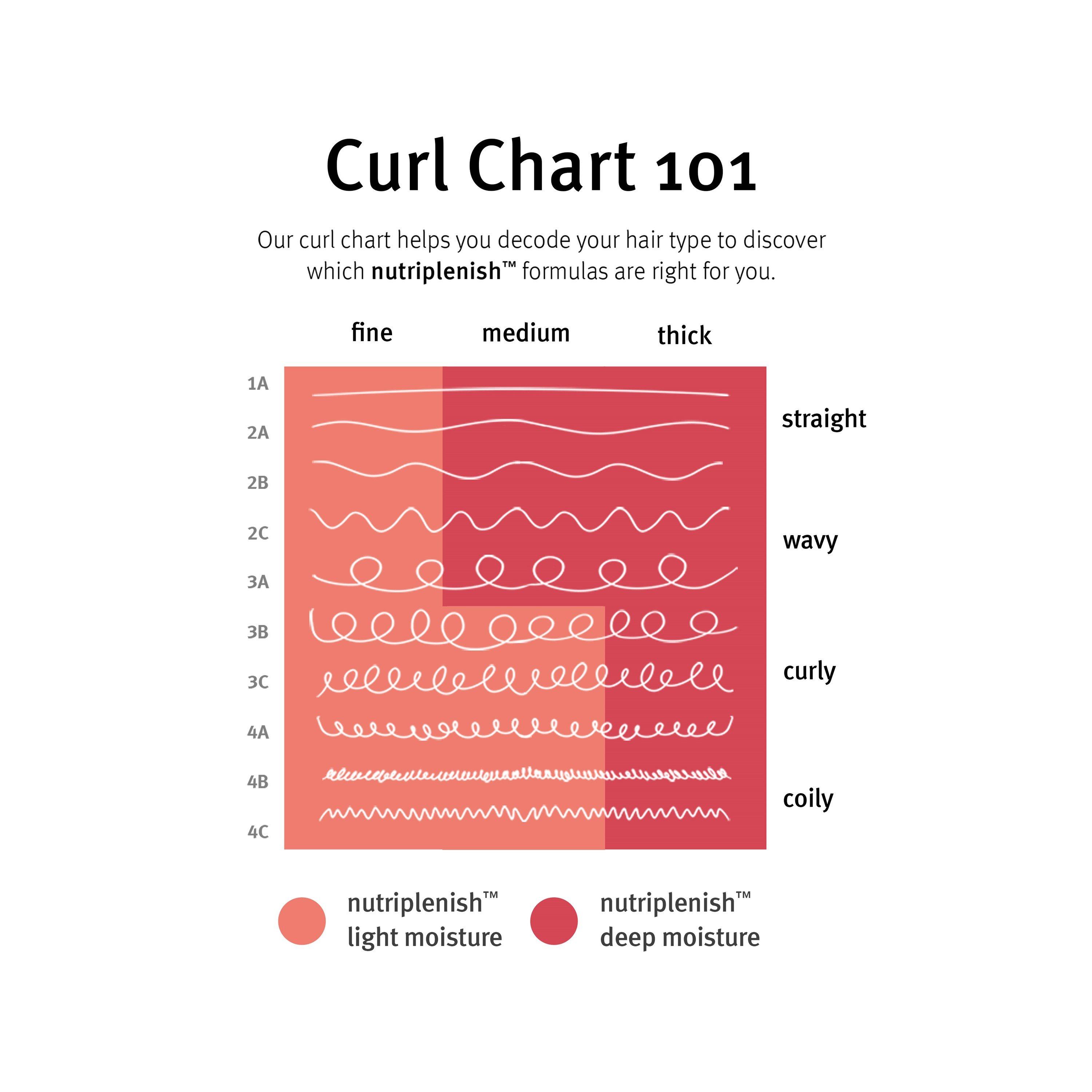 Liquid - Aveda - NUTRIPLENISH Conditioner Light Moisture - 4