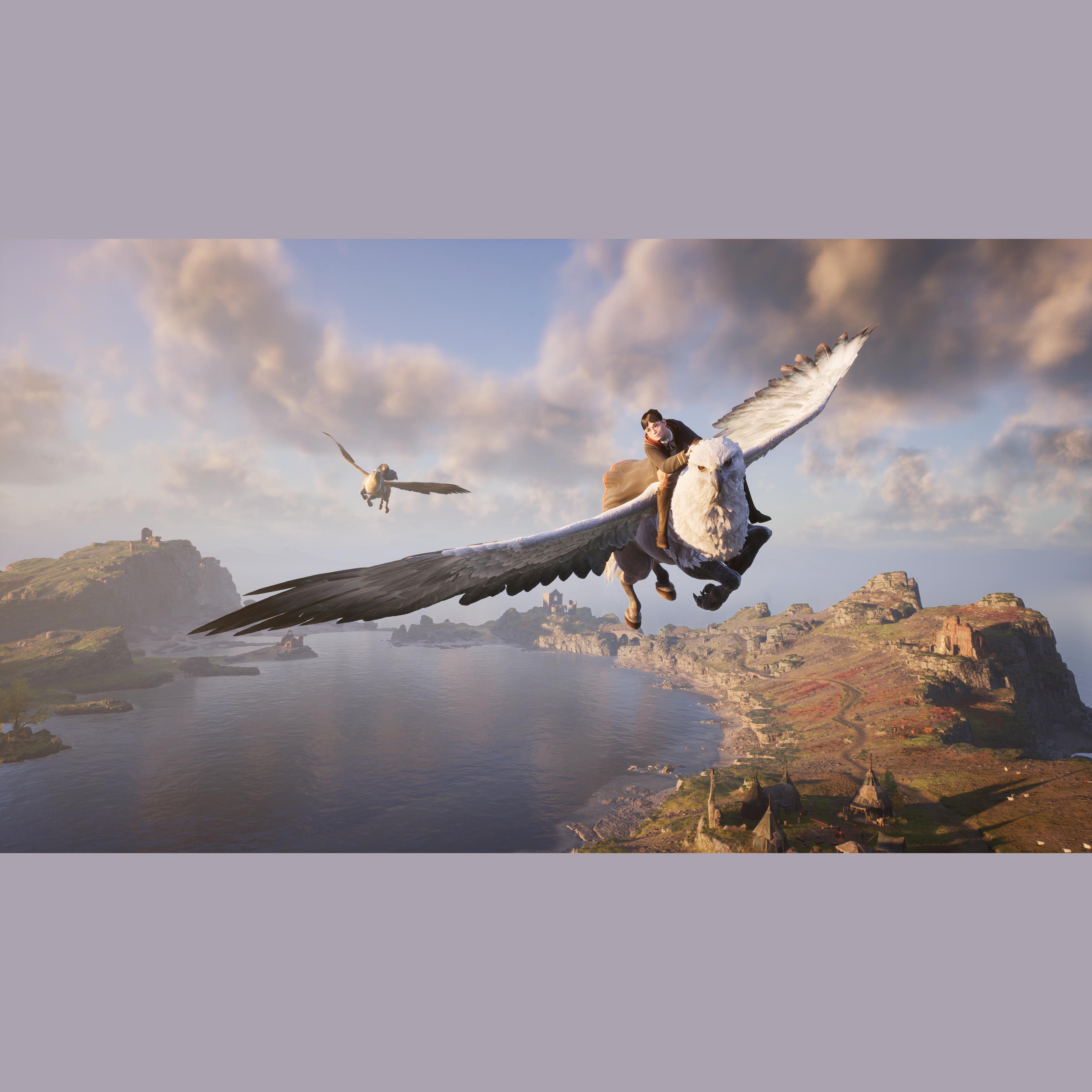 NSW - Harry Potter - Hogwarts Legacy - 9