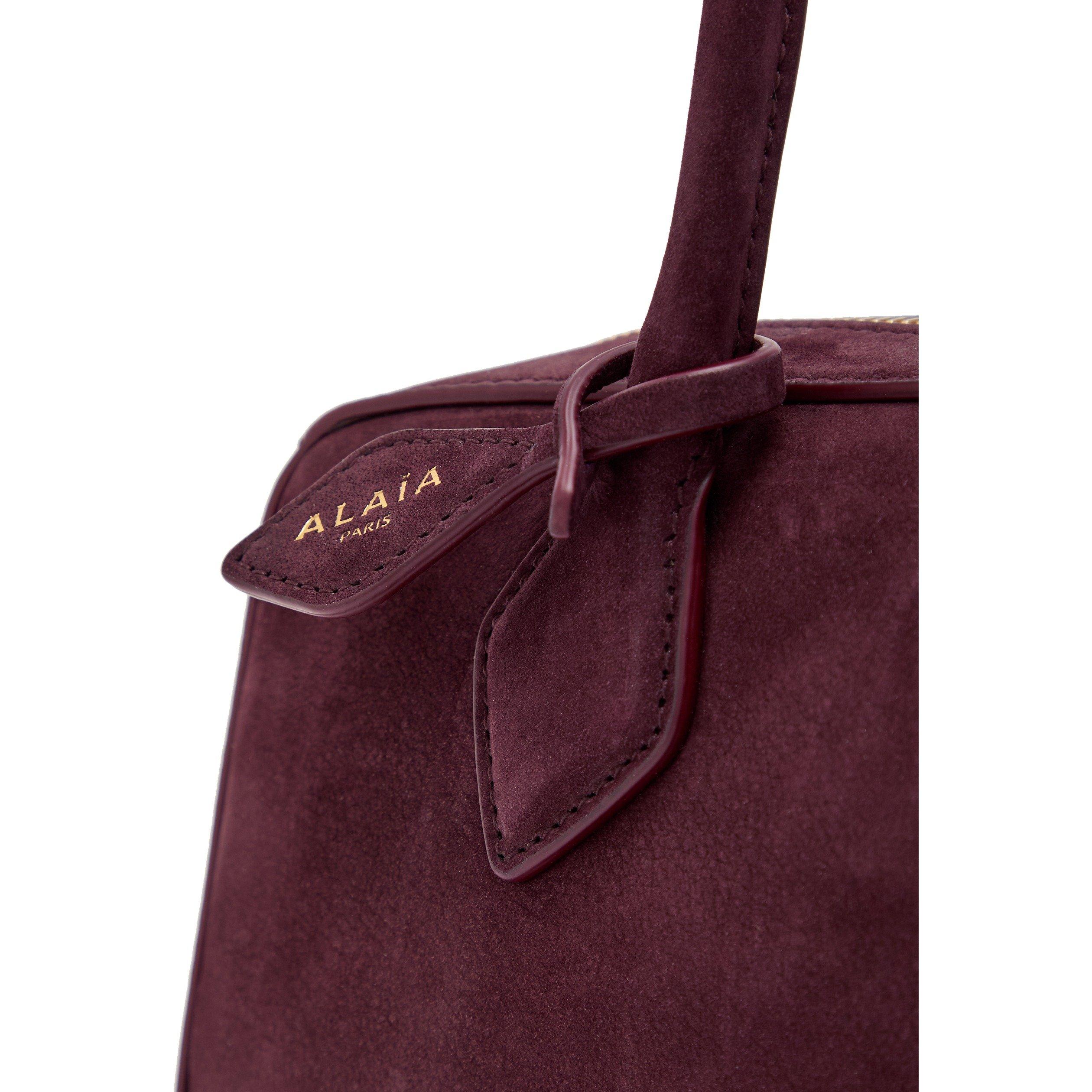 DARK BROWN - Alaia - LE TECKEL SUEDE MEDIUM BAG - 4
