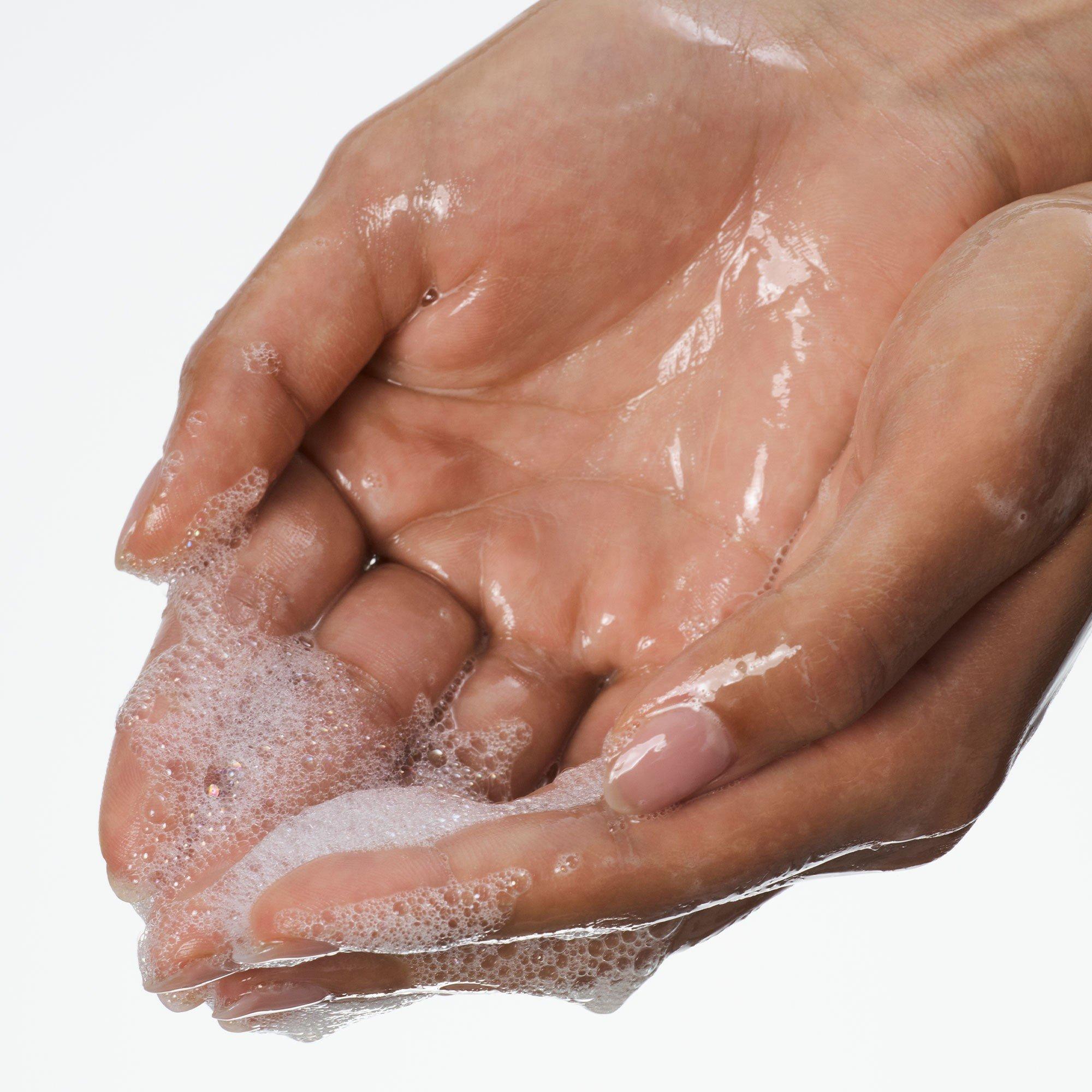 Not Applicable - JOONBYRD - PALM WILD HAND WASH - 2