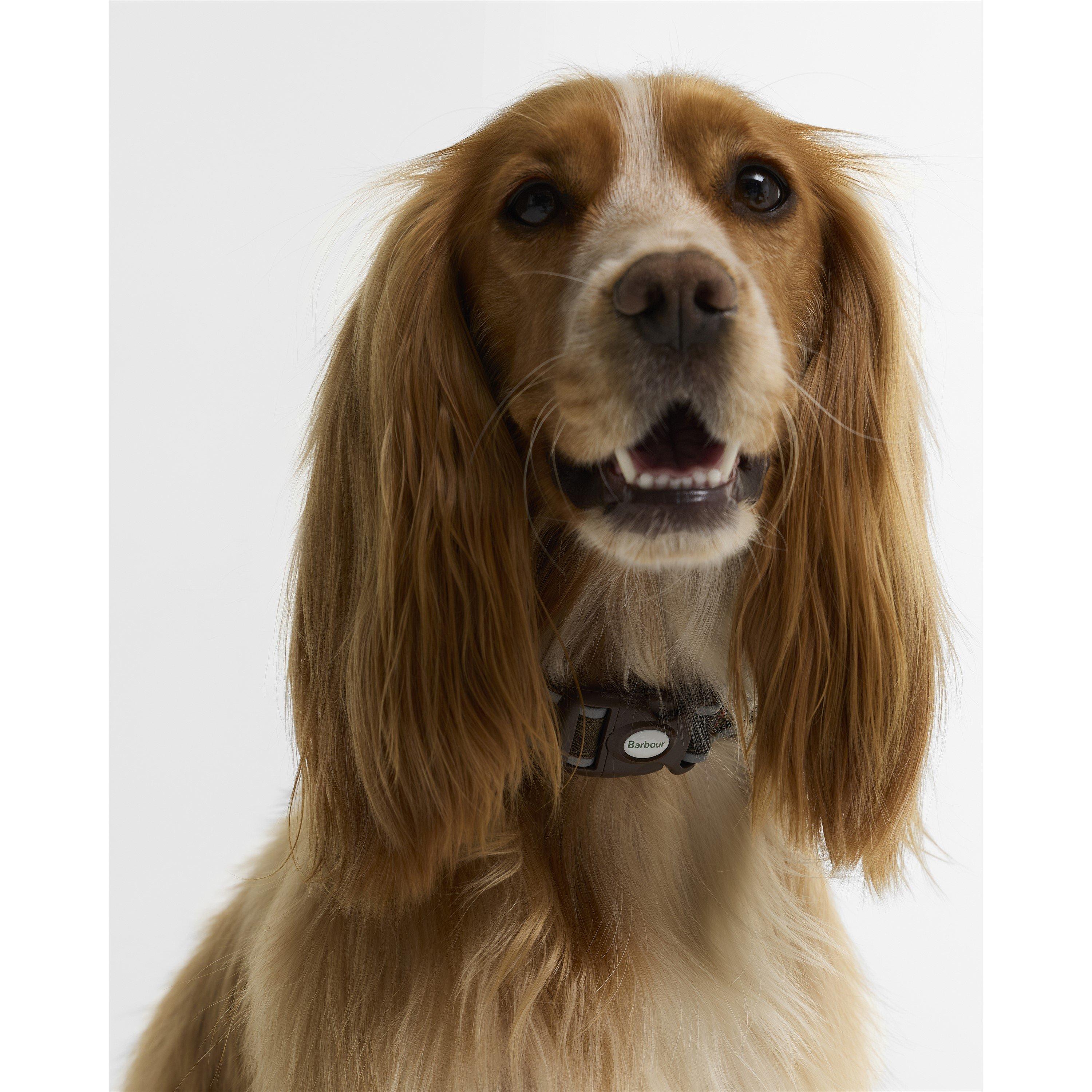 Classic Tartan - Barbour - Reflective Dog Collar - 4
