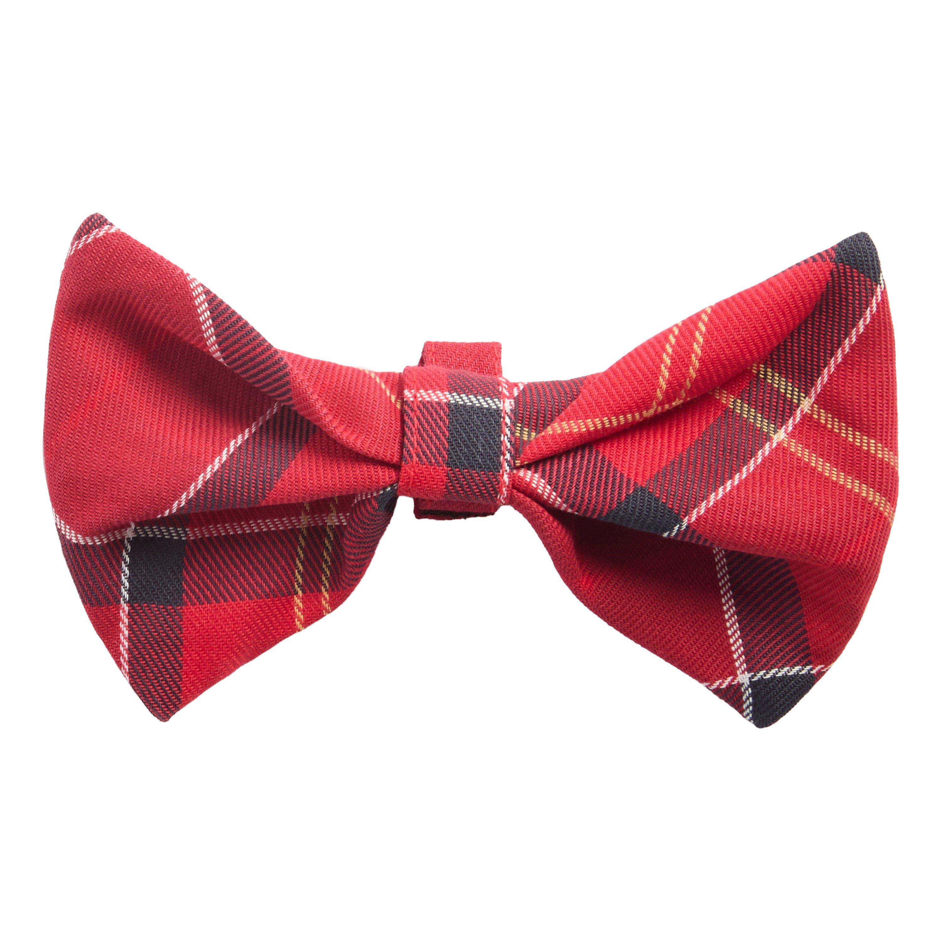 Cardinal Tartan - Barbour - Tartan Dog Bow Tie - 2