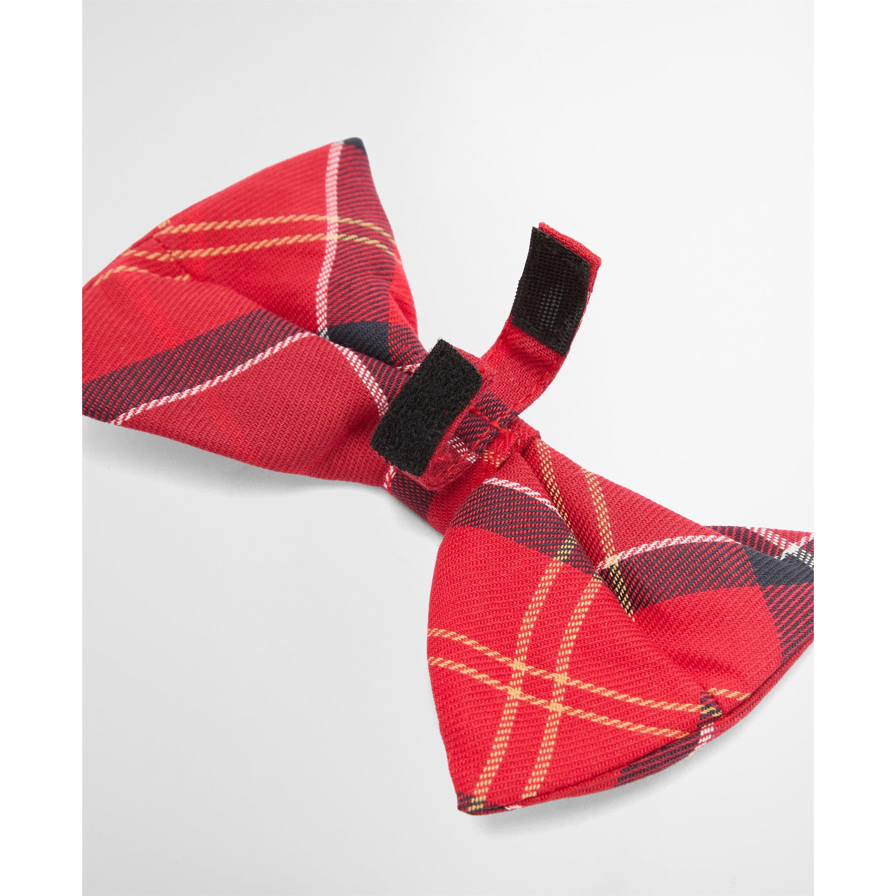 Cardinal Tartan - Barbour - Tartan Dog Bow Tie - 4