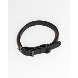 Wild One WO Dog Collar