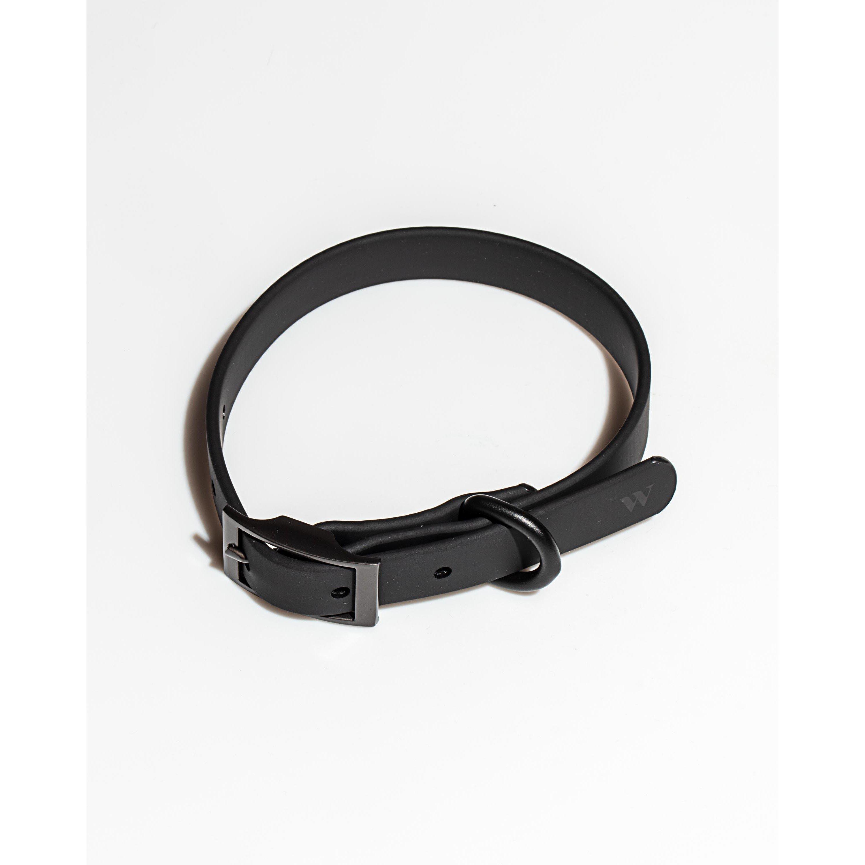 Black - Wild One - Dog Collar - 2