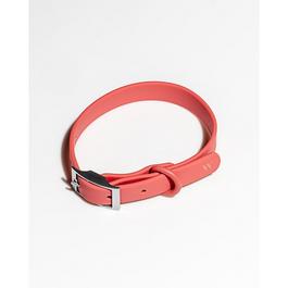 Wild One WO Dog Collar