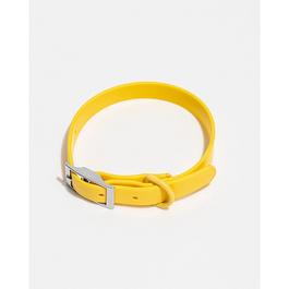 Wild One WO Dog Collar