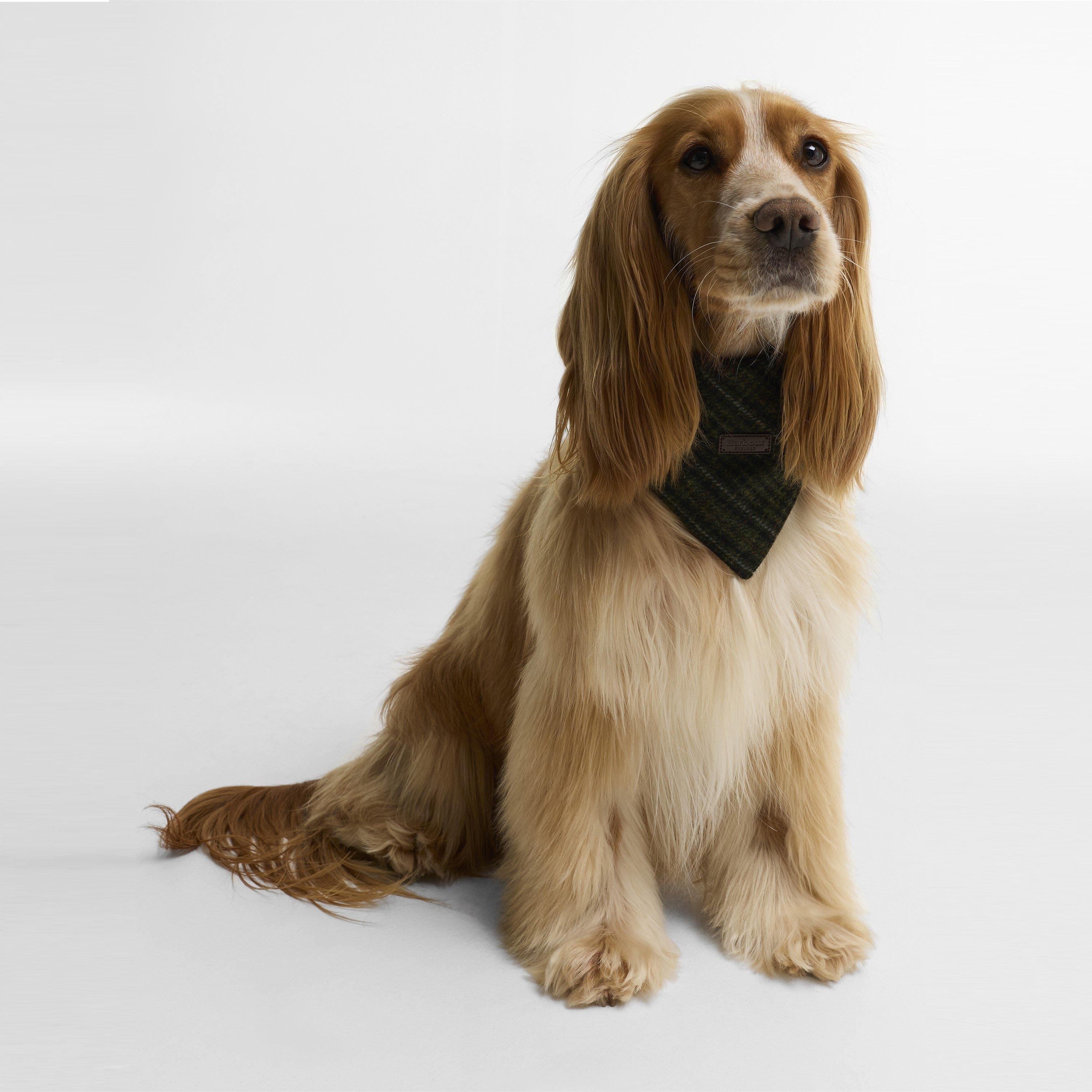 Olive Check - Barbour - Wilkin Dog Bandana - 2