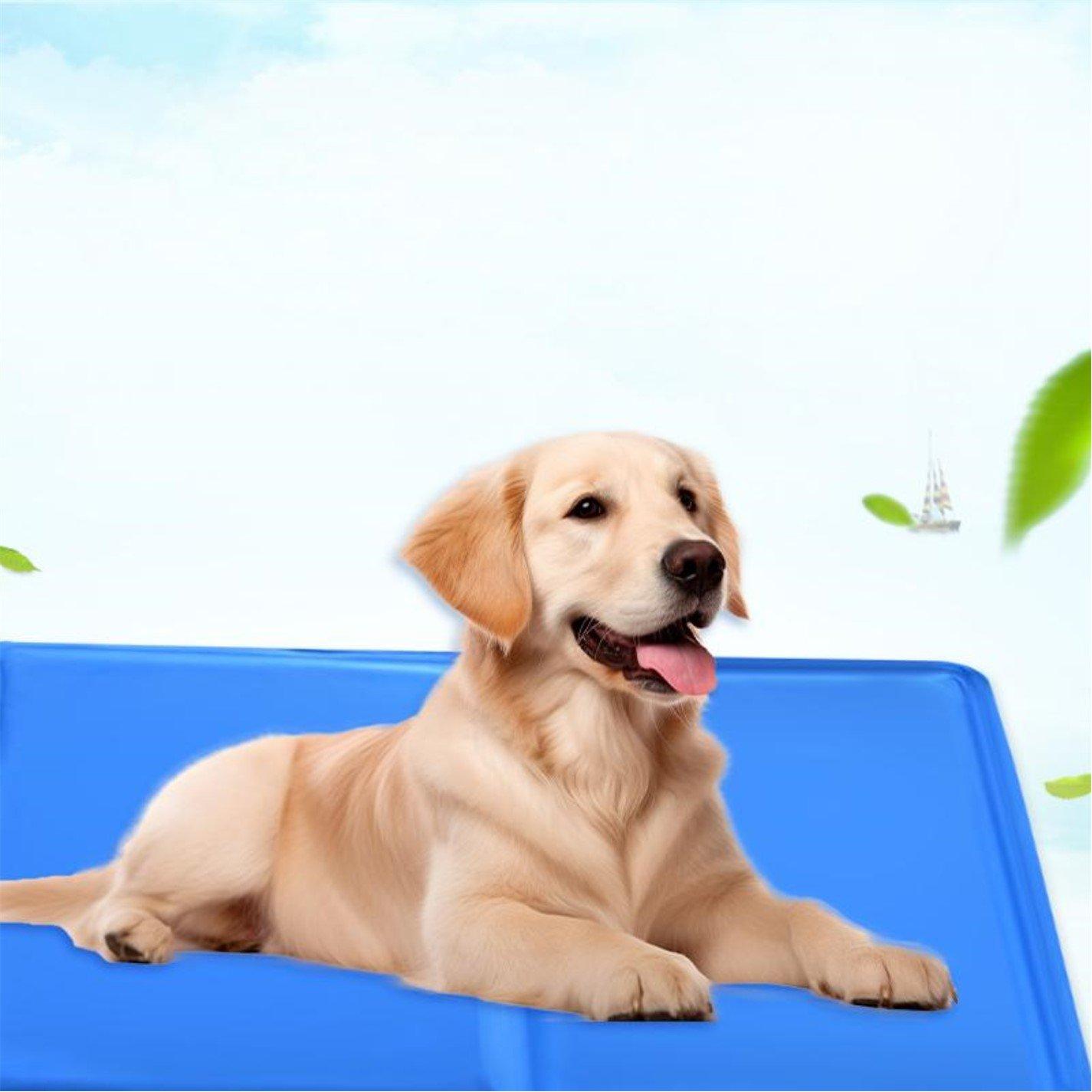 Azul - Waggy Tails - Cooling mat - 2