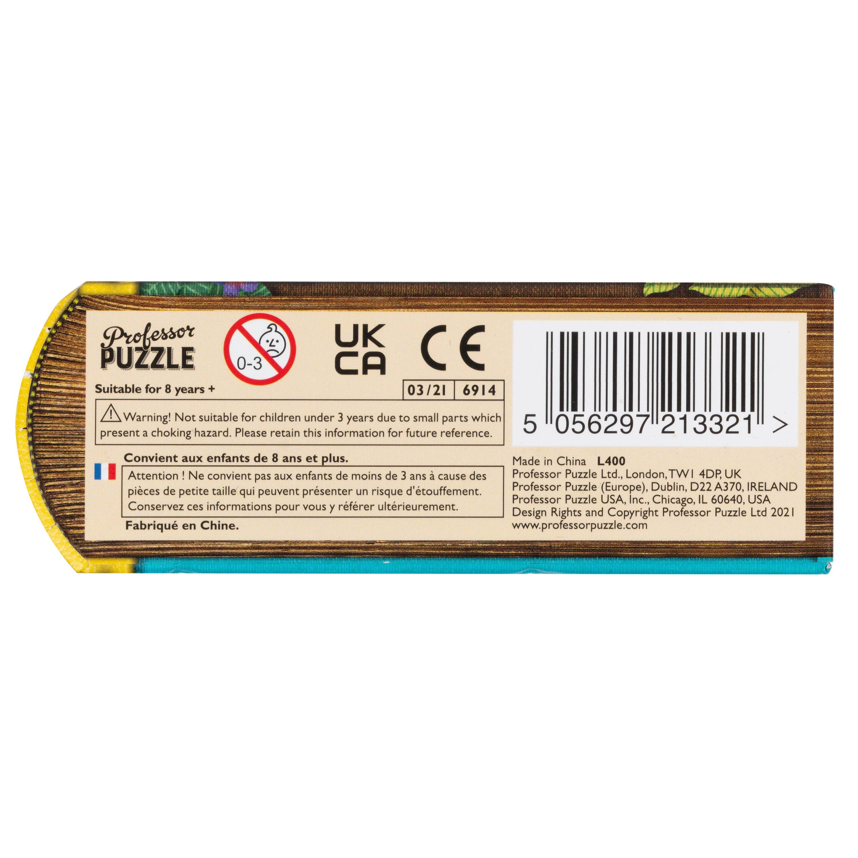 Meerkleurig - Professor Puzzle - Treasure Island Jigsaw Puzzle - 4