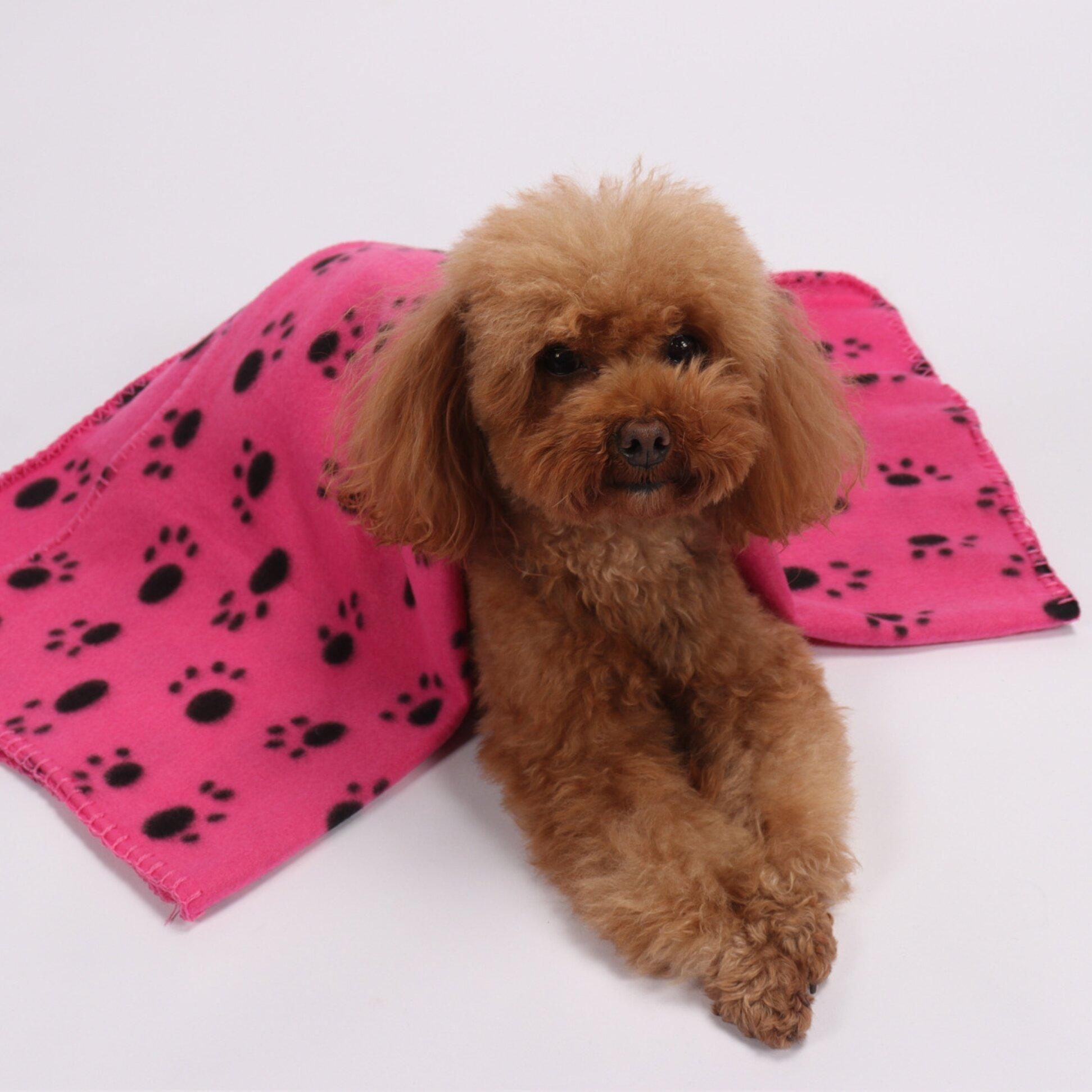 Pink/Black - Waggy Tails - Fleece Blanket - 2