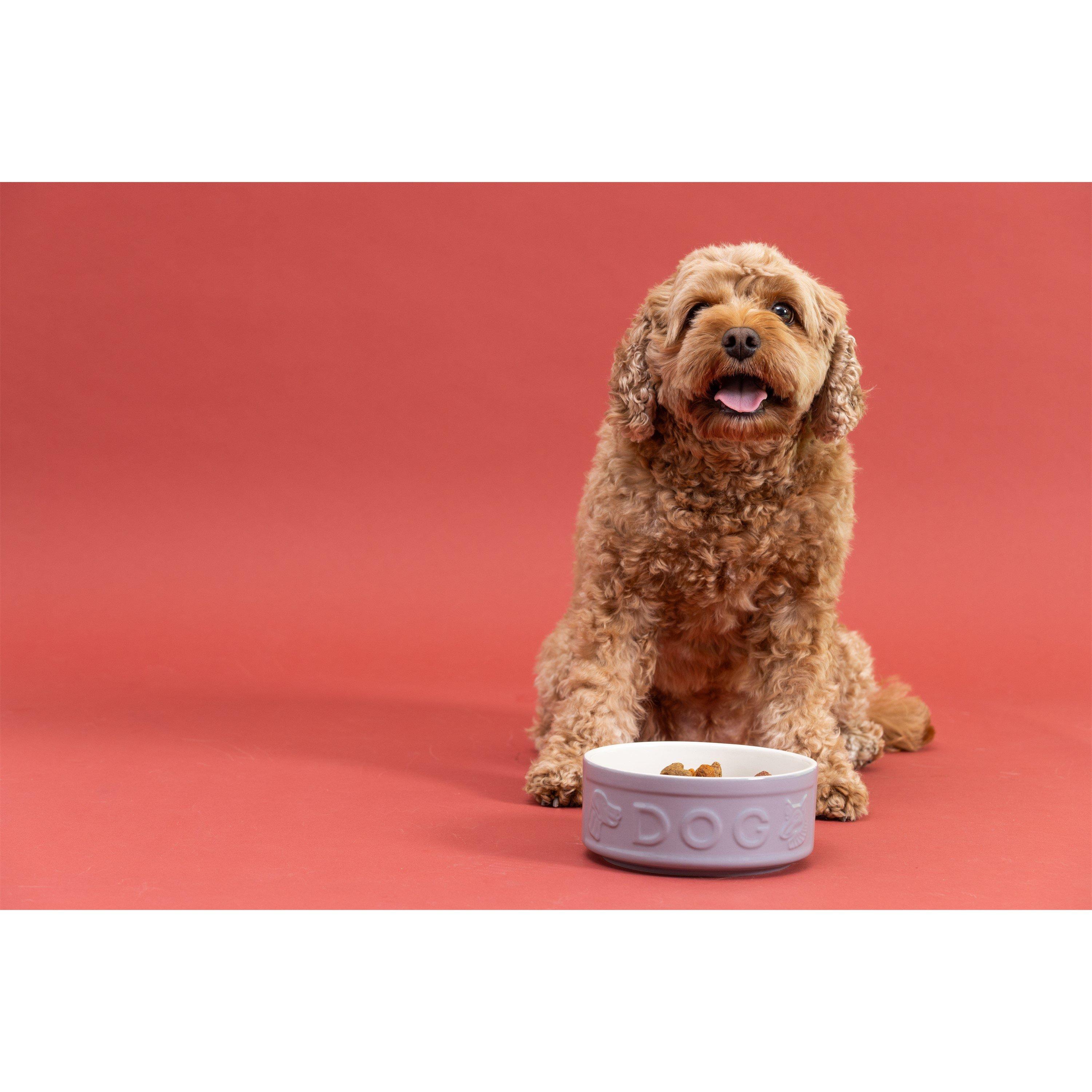 Grey - Mason Cash - Grey lettered dog bowl 15cm - 3