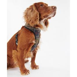 Barbour Tartan Dog Harness