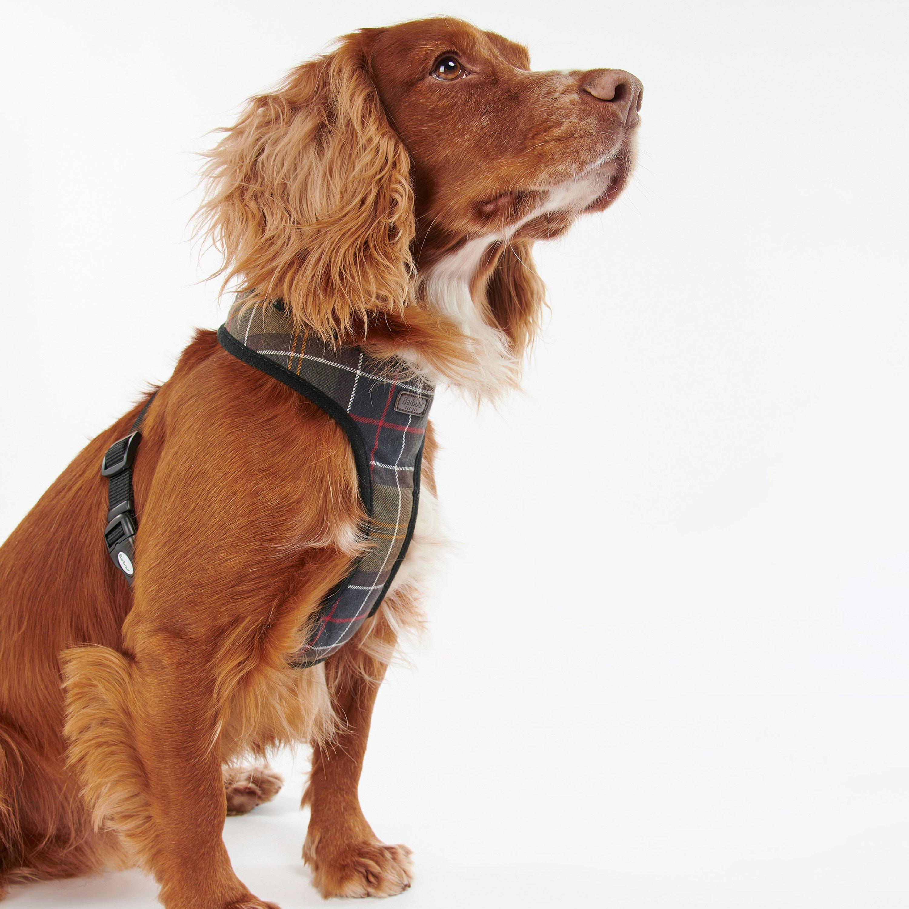 Classic Tartan - Barbour - Tartan Dog Harness - 6