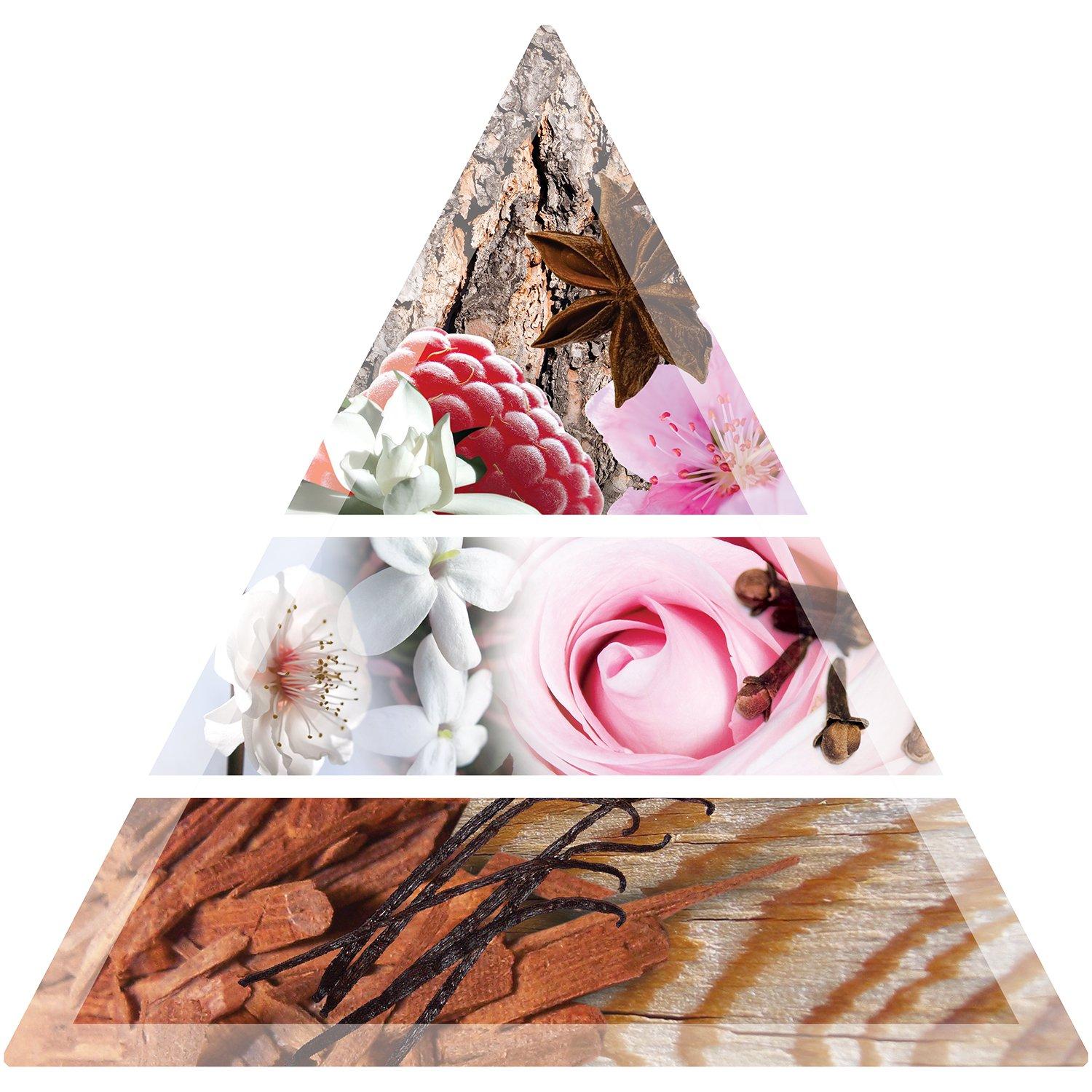 None - Balmain Hair - Balmain Hair - Hair Perfume - 3