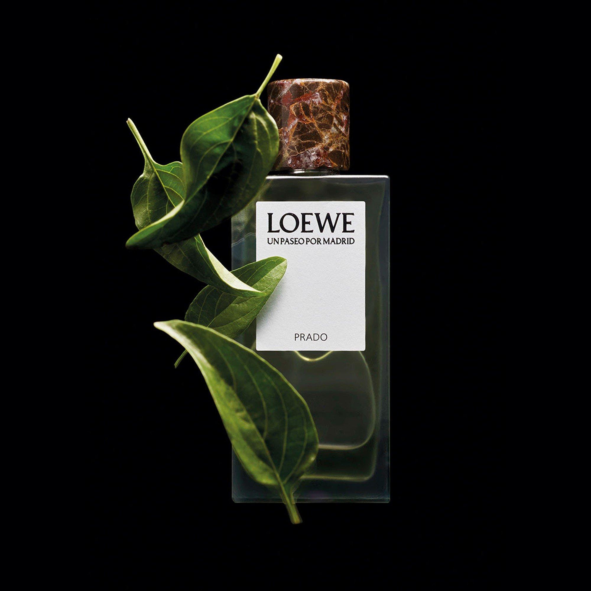 Not Applicable - LOEWE - PRADO EDP 100ML - 5