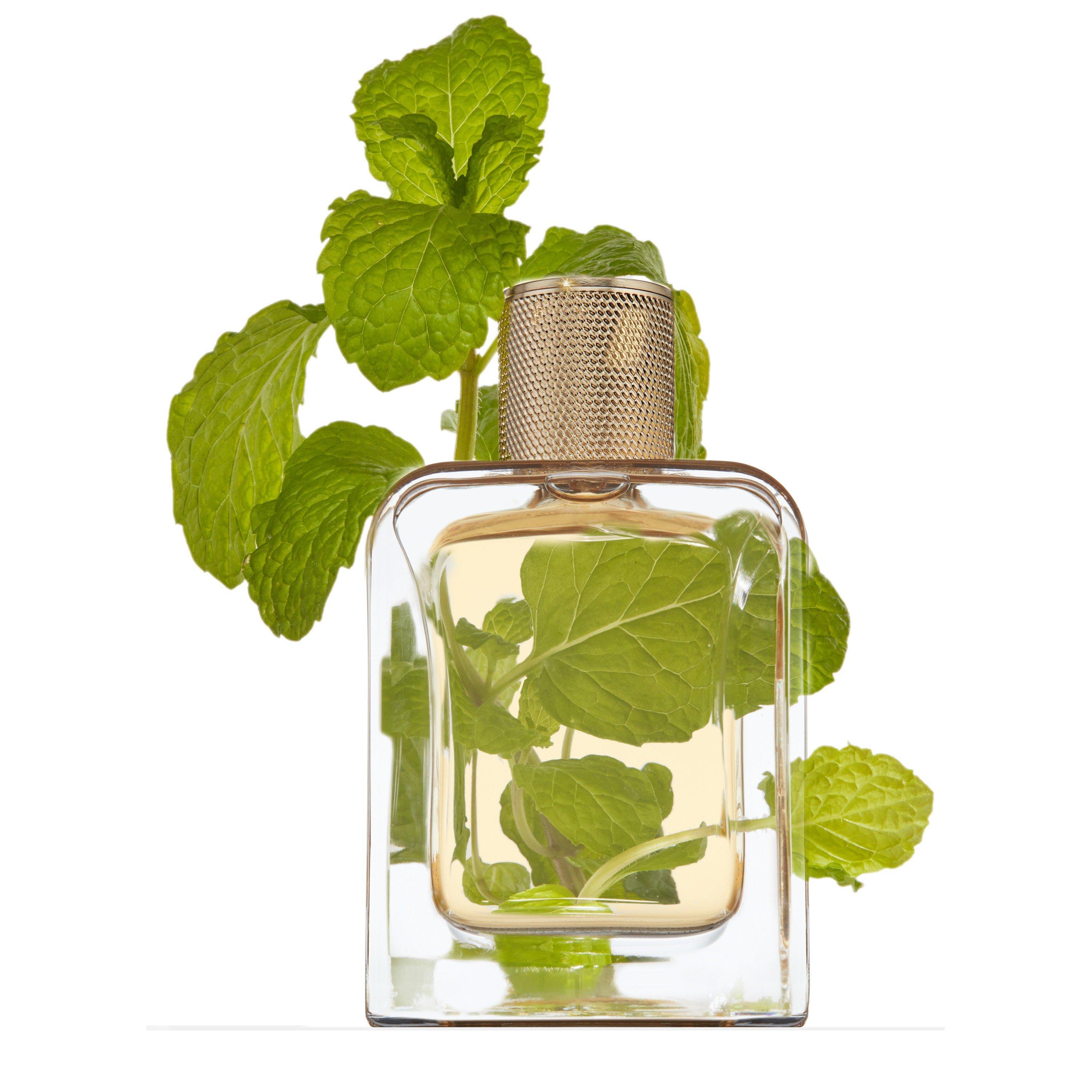 Not Applicable - Veronique Gabai - VERT DESIR 85ML - 2