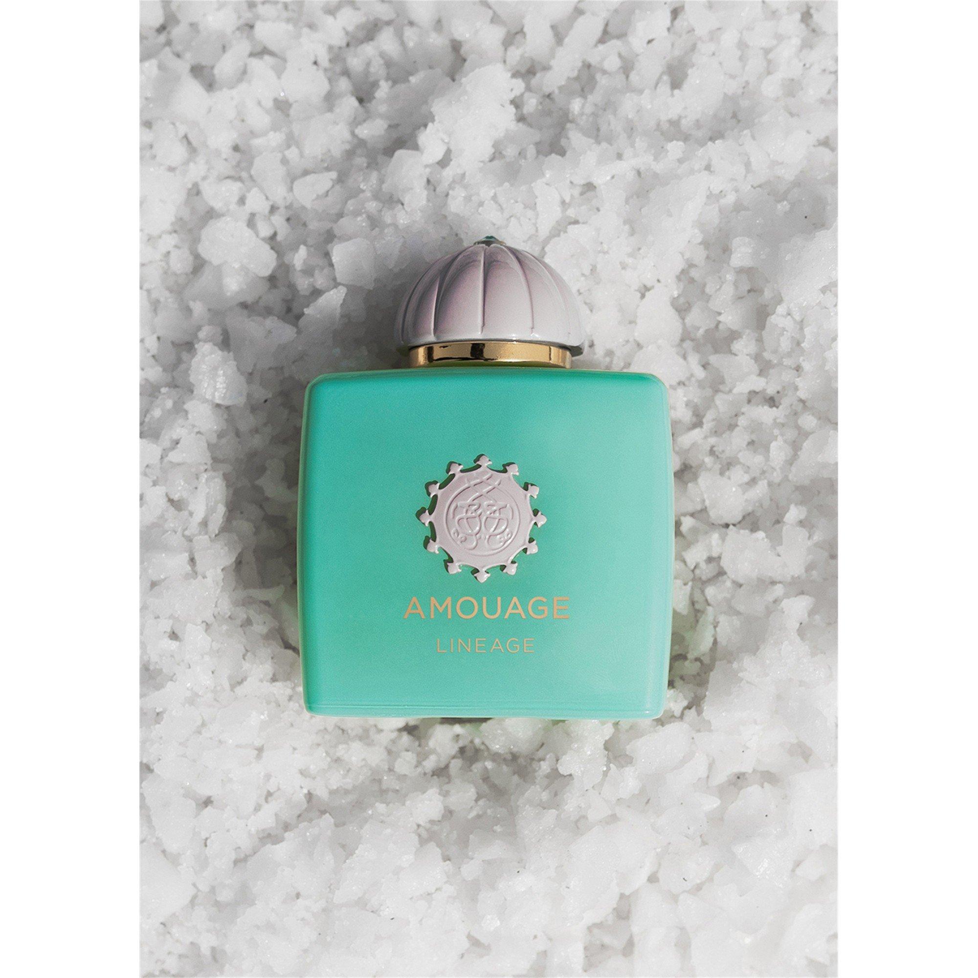 Not Applicable - Amouage - LINEAGE EDP 100ML - 4