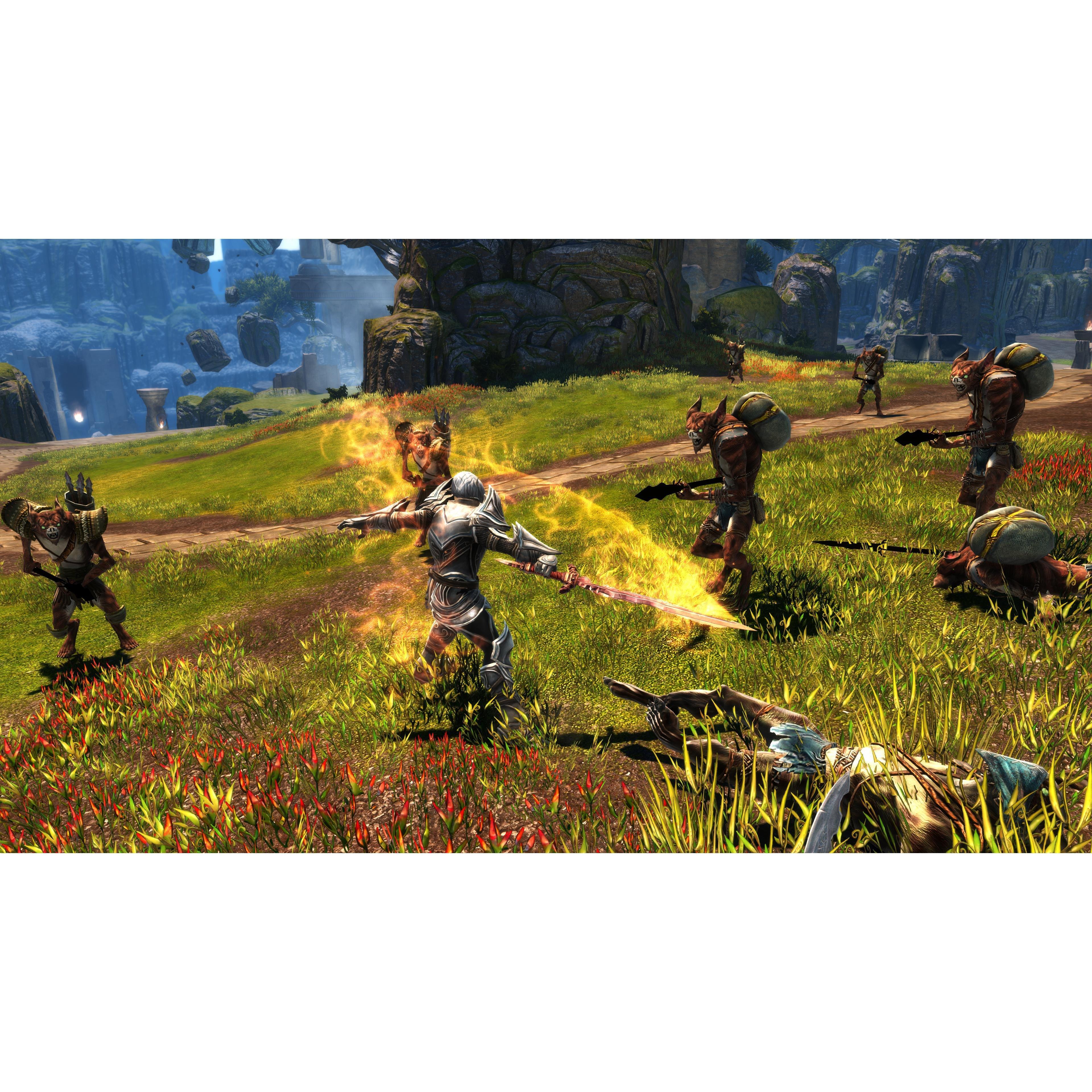 PlayStation 4 - THQ Nordic - Kingdoms of Amalur: Re-Reckoning - 11