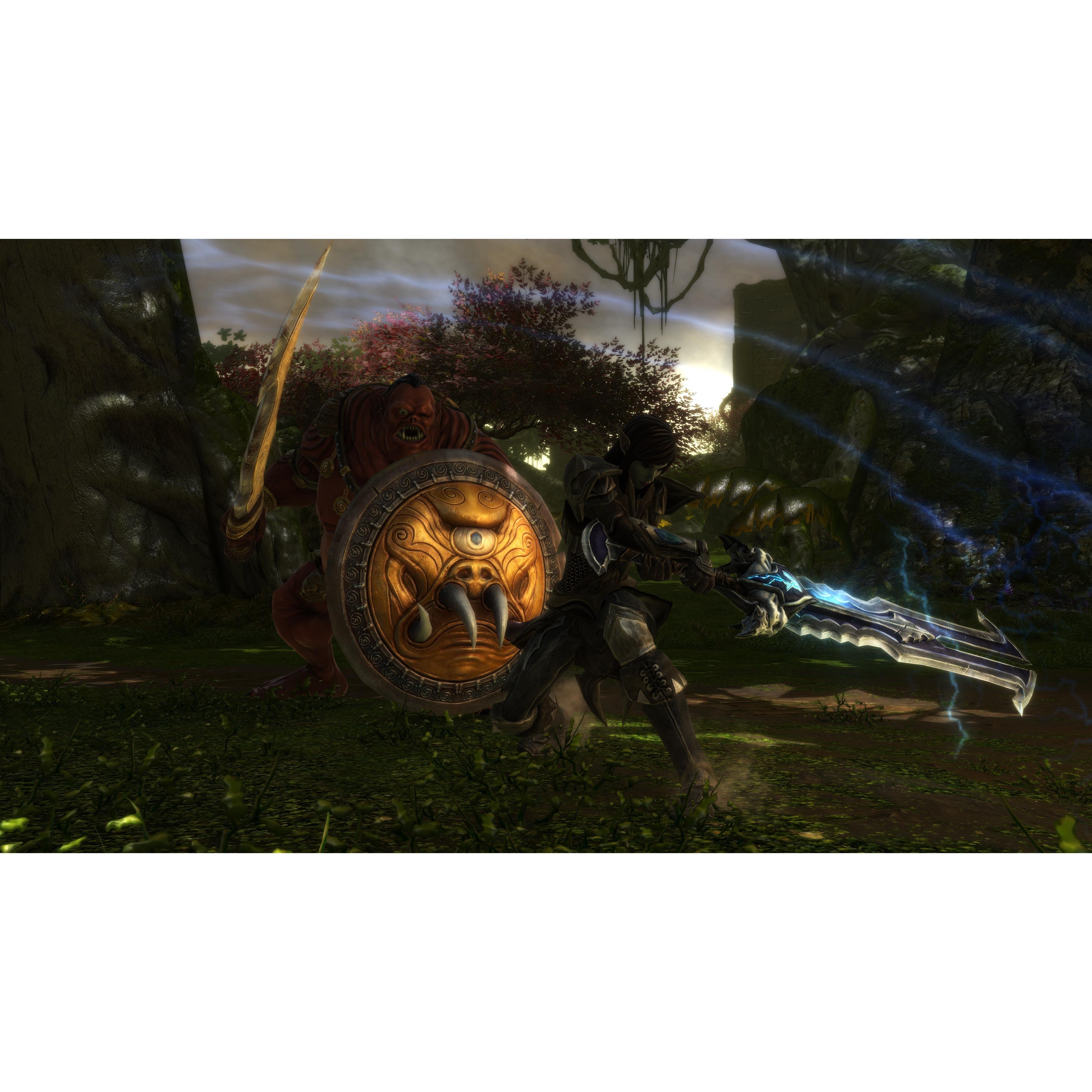 PlayStation 4 - THQ Nordic - Kingdoms of Amalur: Re-Reckoning - 4