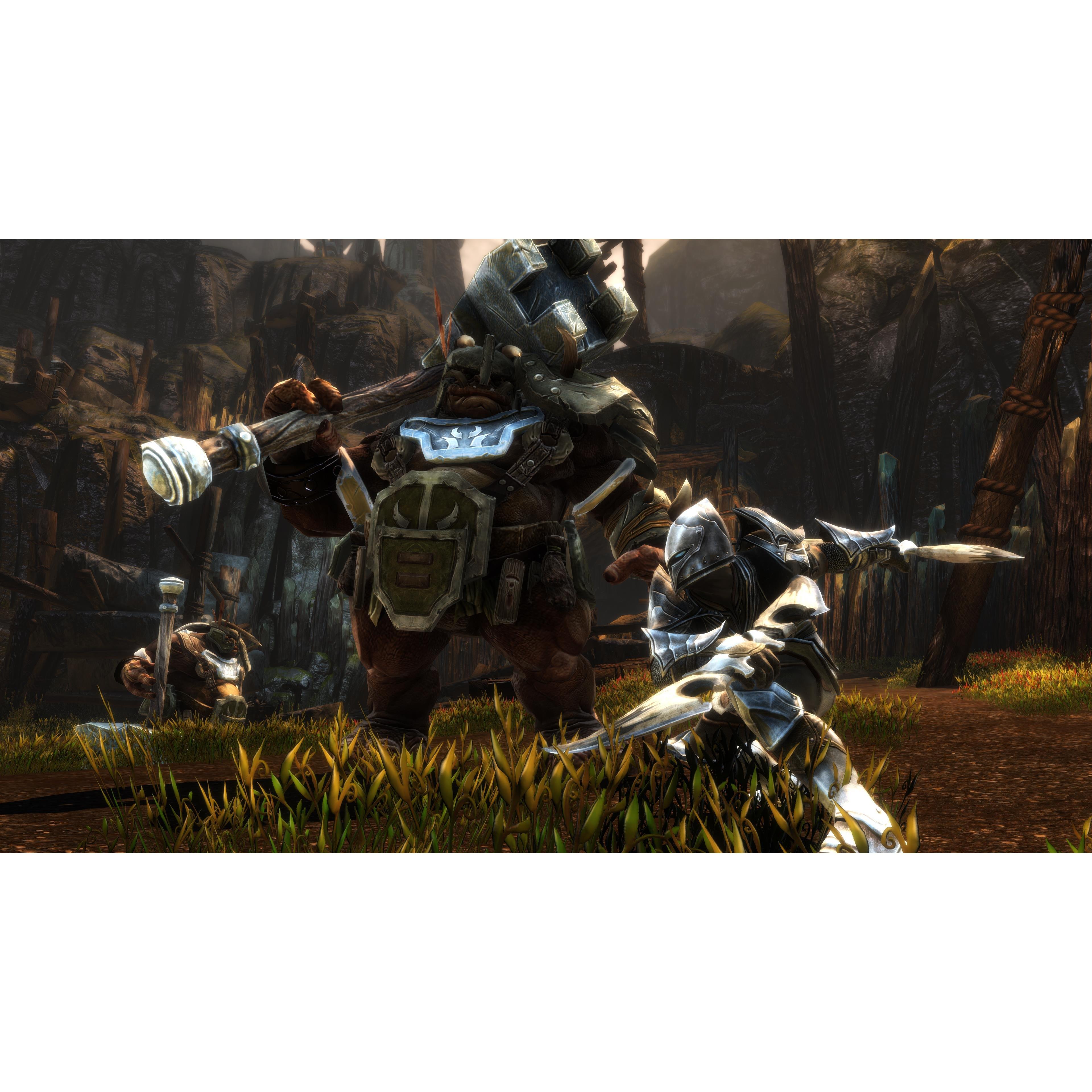 PlayStation 4 - THQ Nordic - Kingdoms of Amalur: Re-Reckoning - 6
