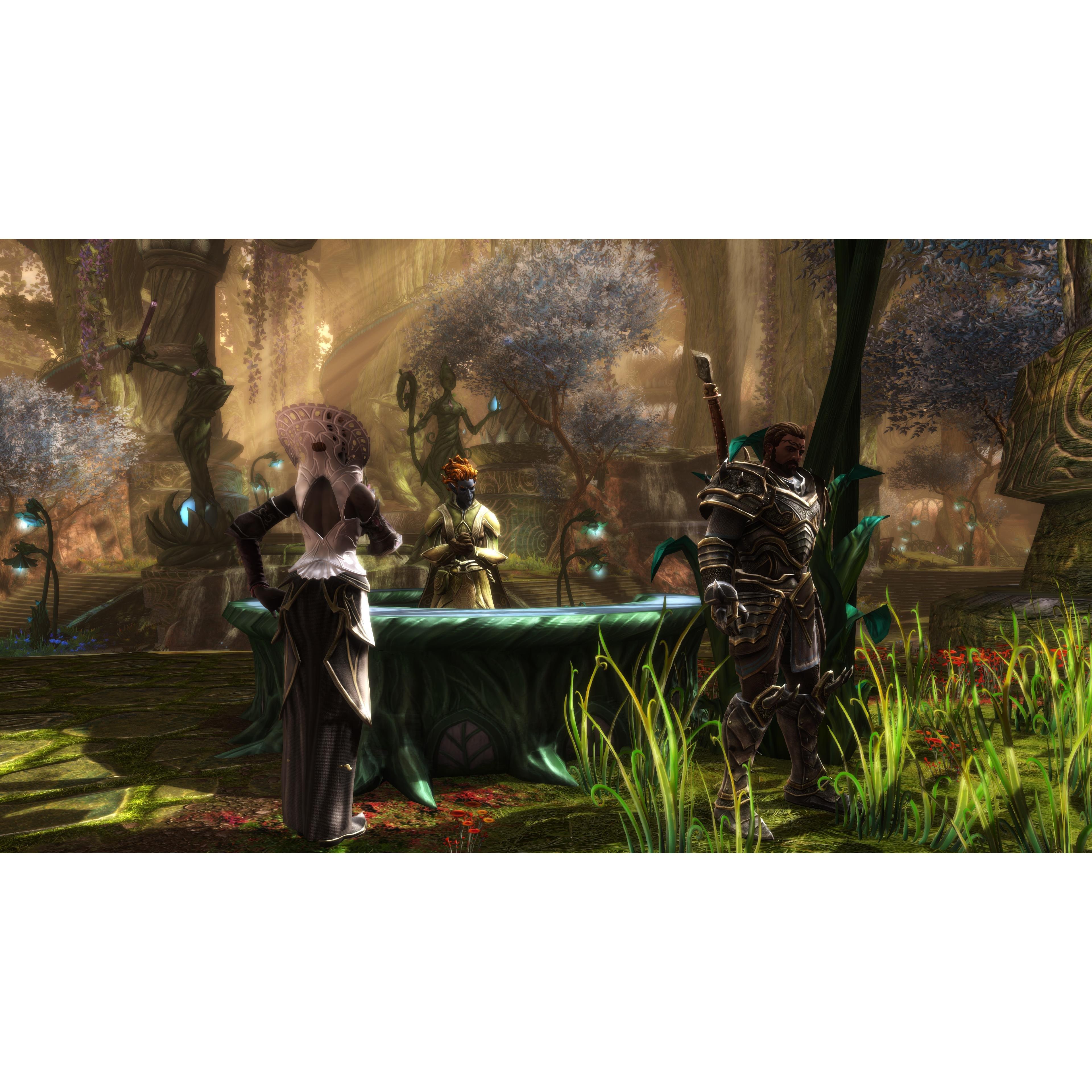 PlayStation 4 - THQ Nordic - Kingdoms of Amalur: Re-Reckoning - 8