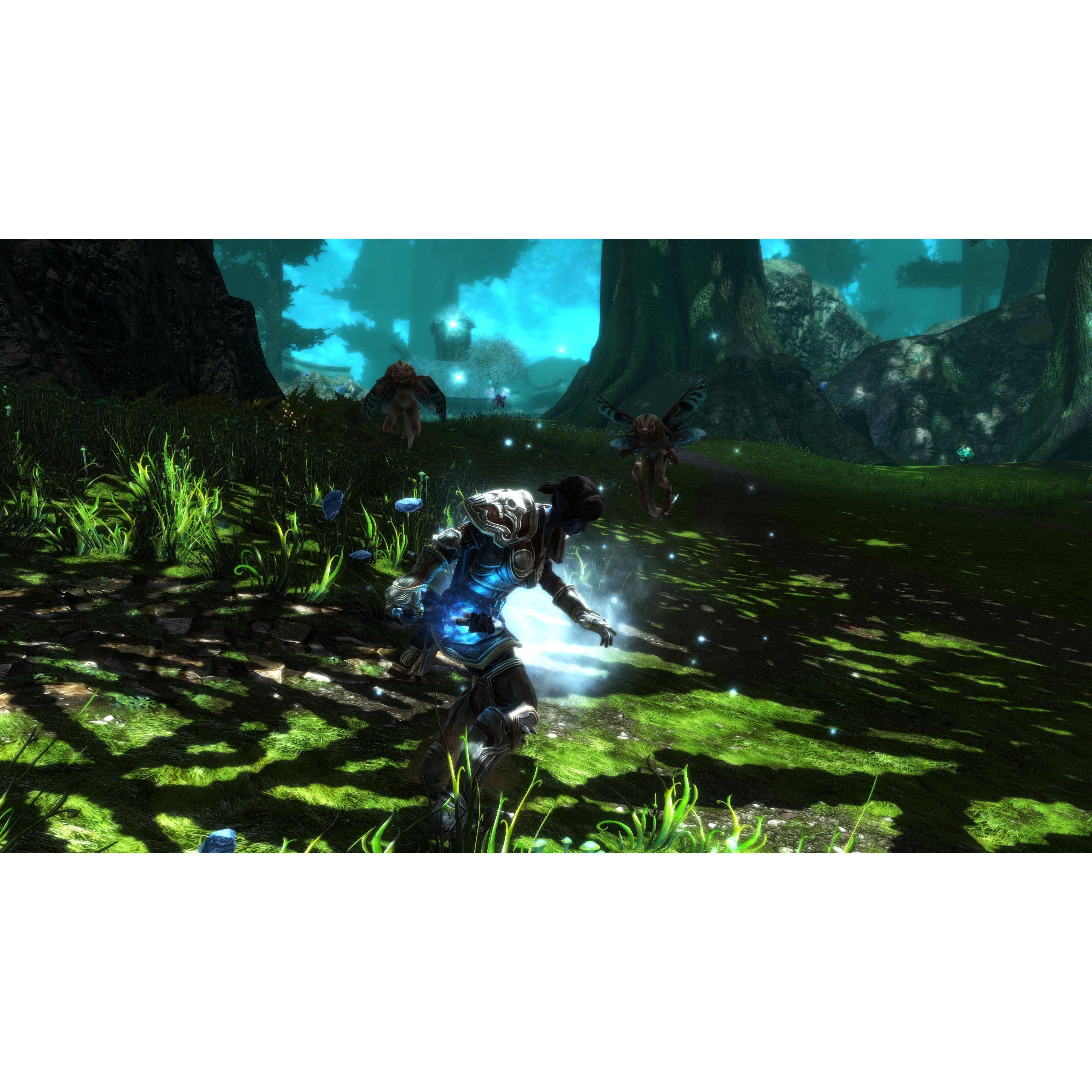 PlayStation 4 - THQ Nordic - Kingdoms of Amalur: Re-Reckoning - 10