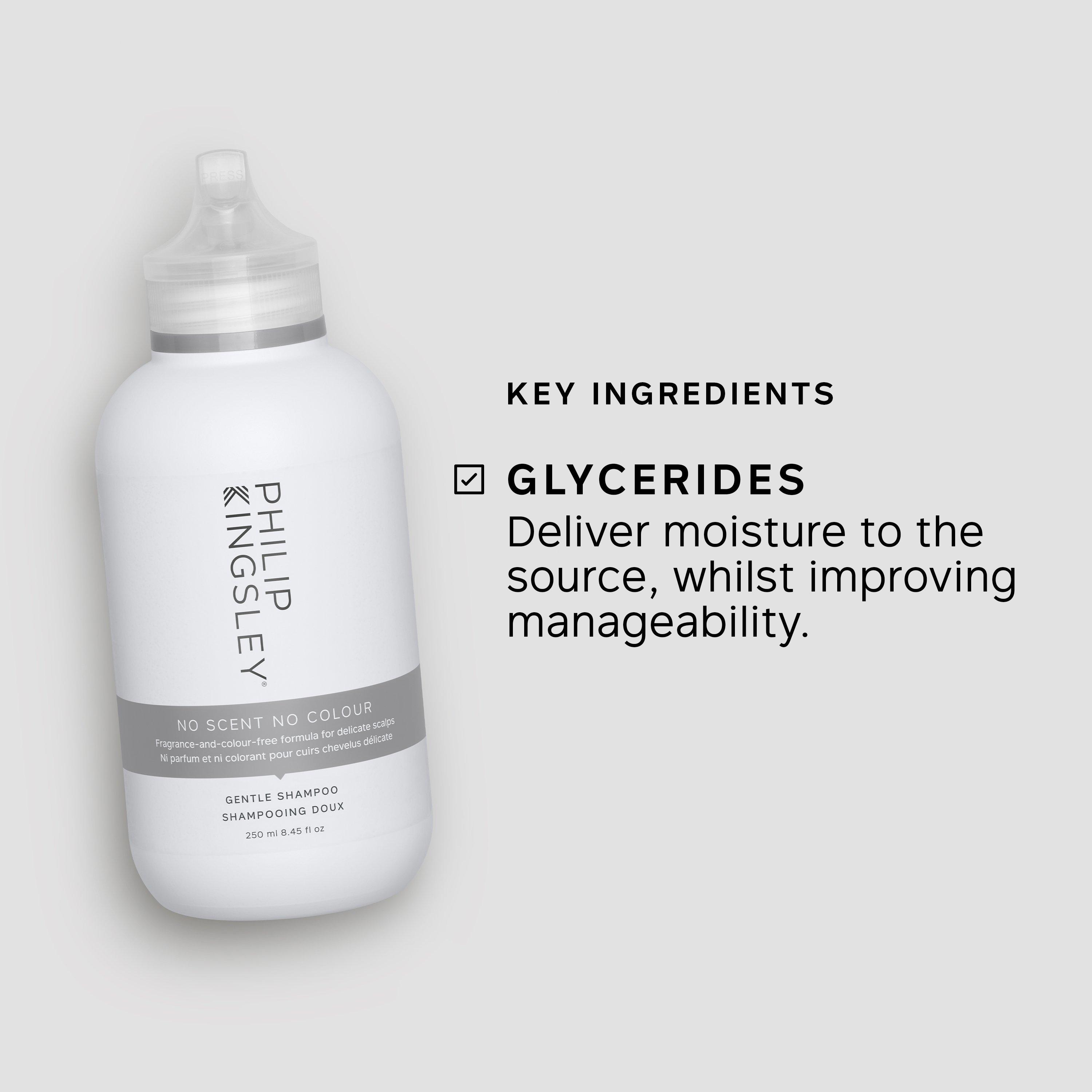 Clear - Philip Kingsley - No Scent No Colour Shampoo 250ml - 5
