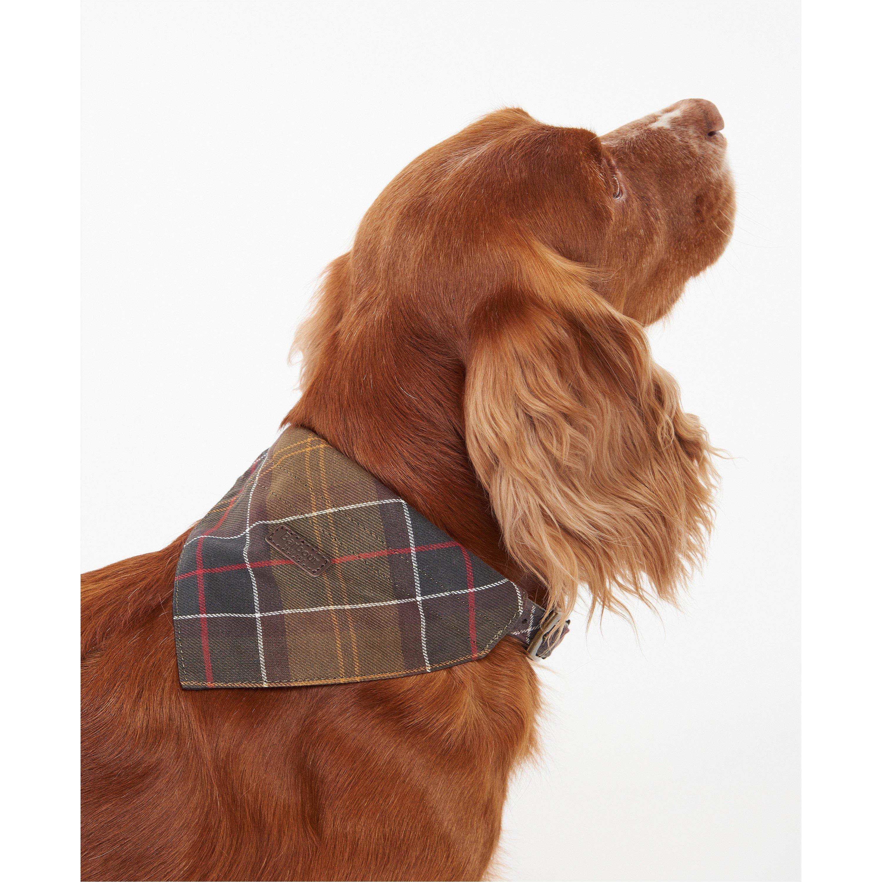 Classic Tartan - Barbour - Tartan Bandana - 2